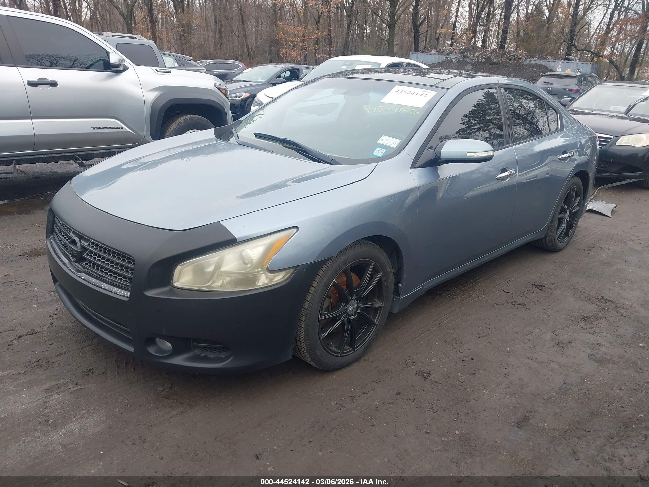 NISSAN MAXIMA image 2