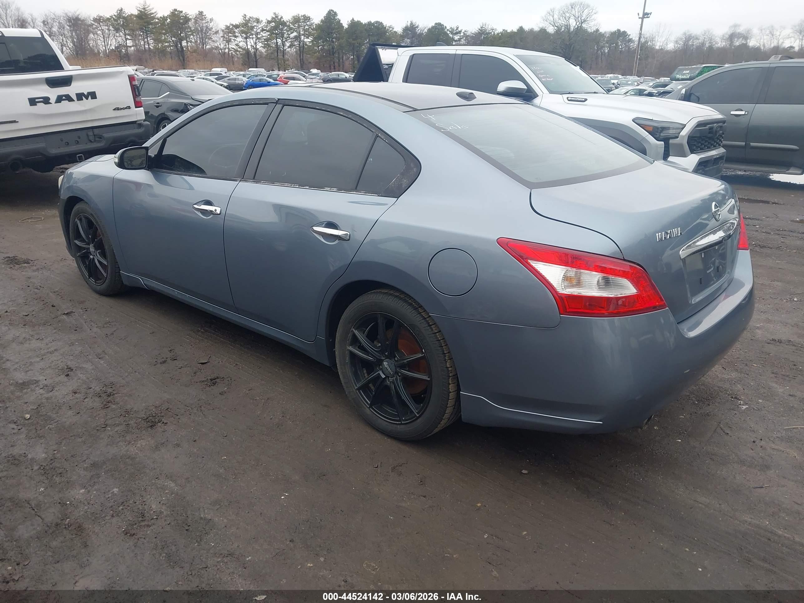 NISSAN MAXIMA image 3