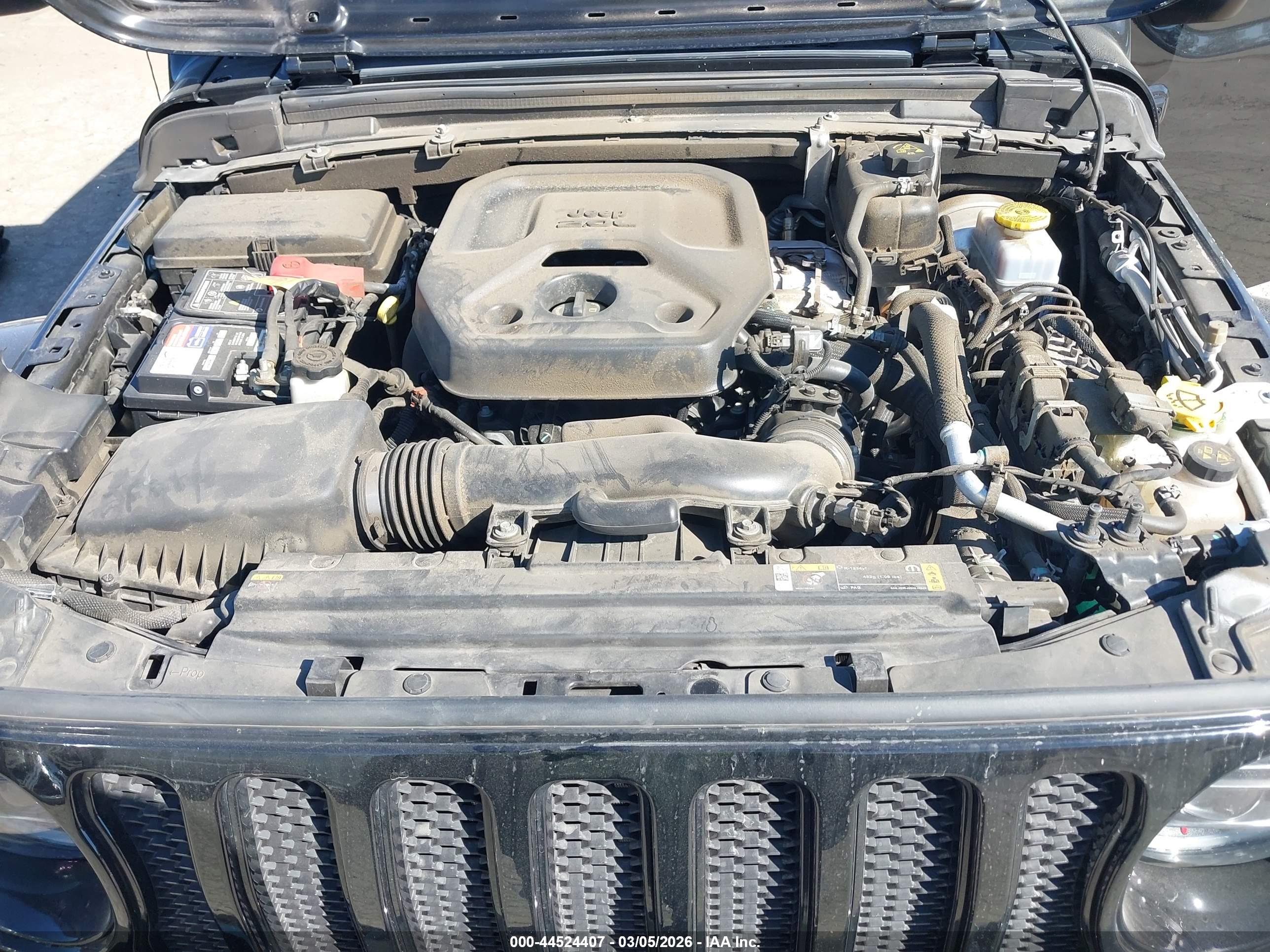 JEEP WRANGLER image 10