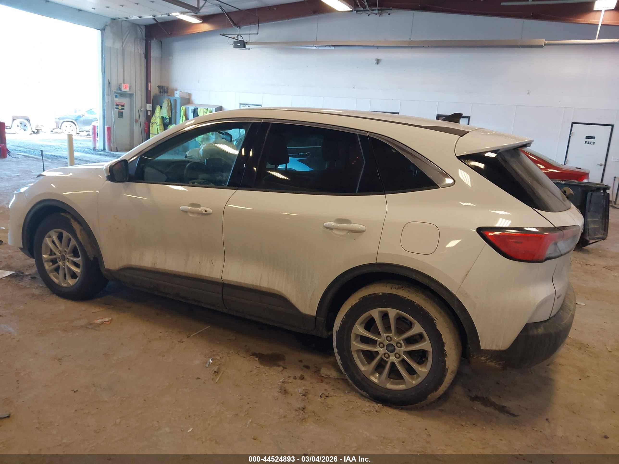 FORD ESCAPE image 3