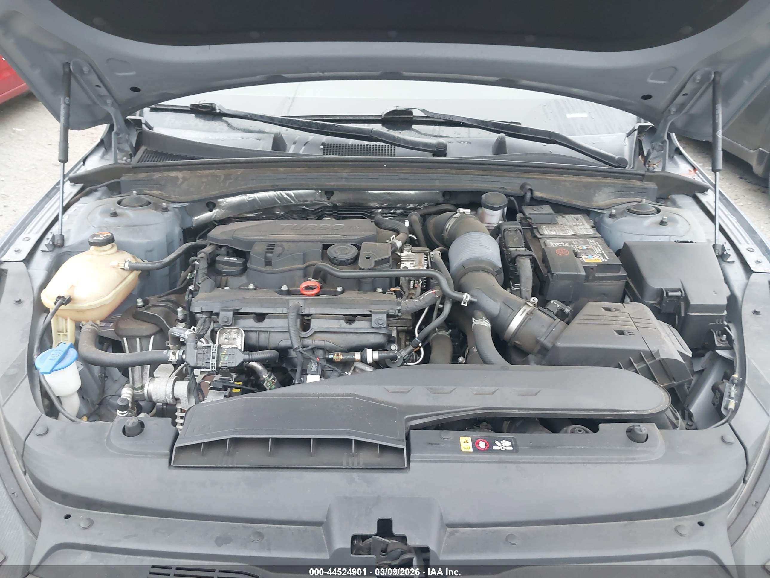 KIA K5 image 10