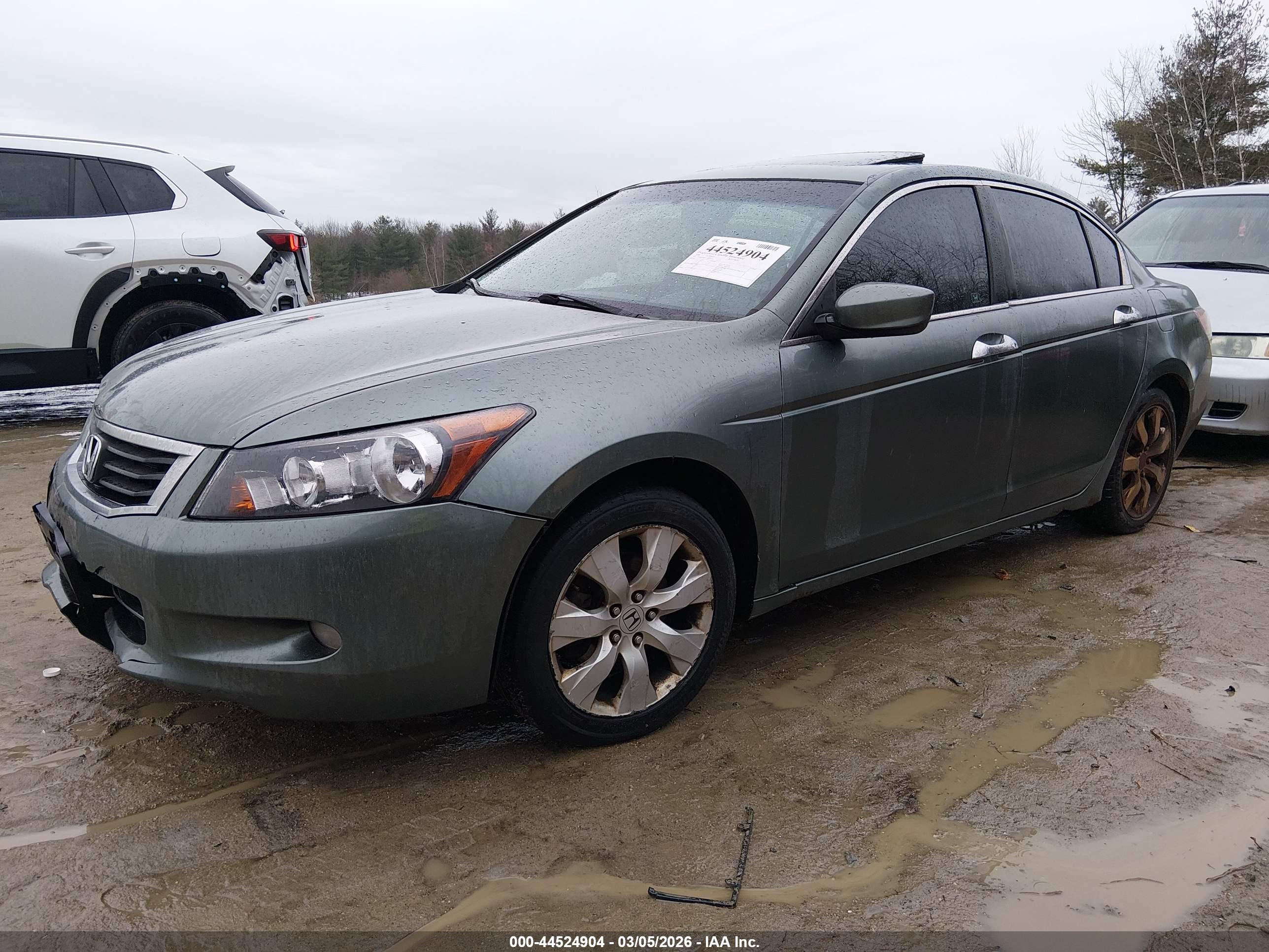 HONDA ACCORD image 2