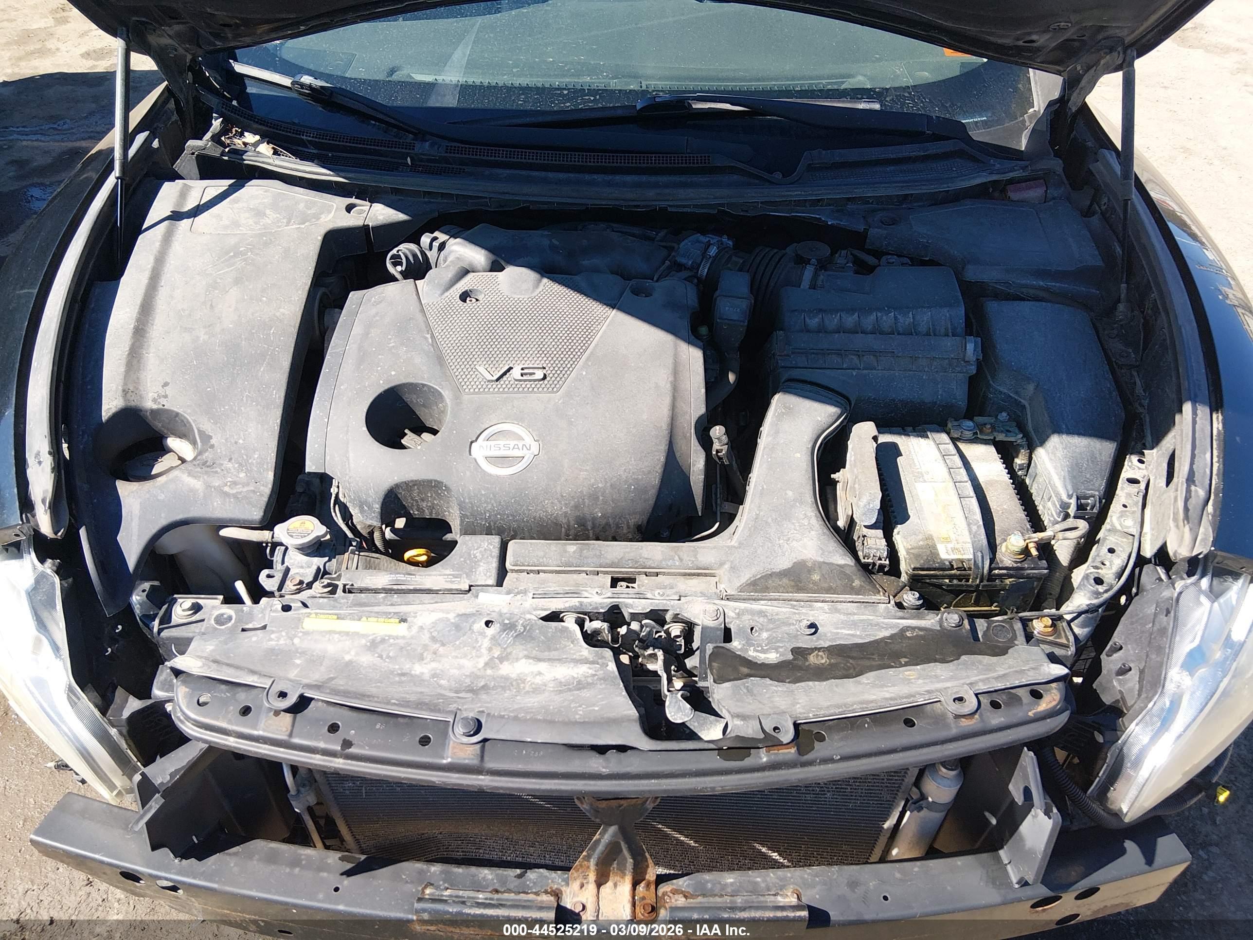 NISSAN MAXIMA image 10