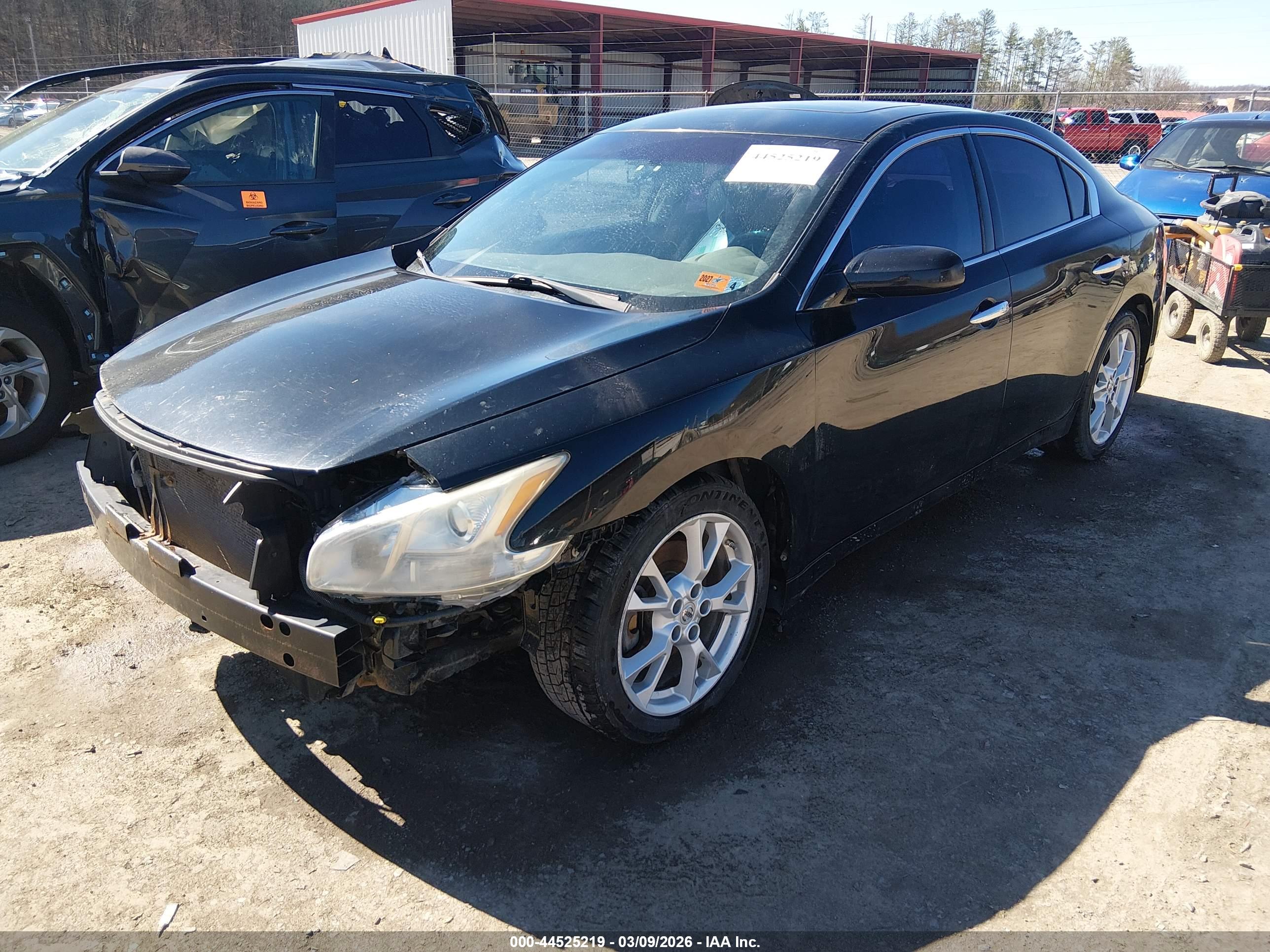NISSAN MAXIMA image 2