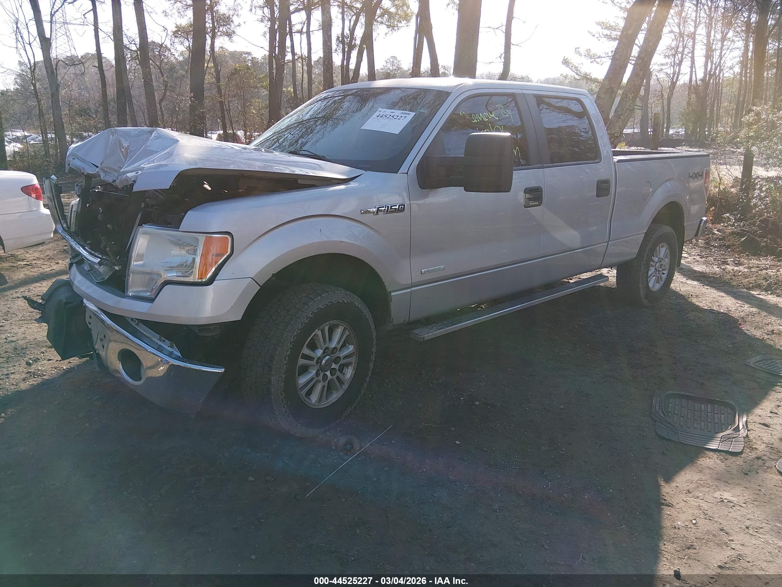 FORD F-150 image 2