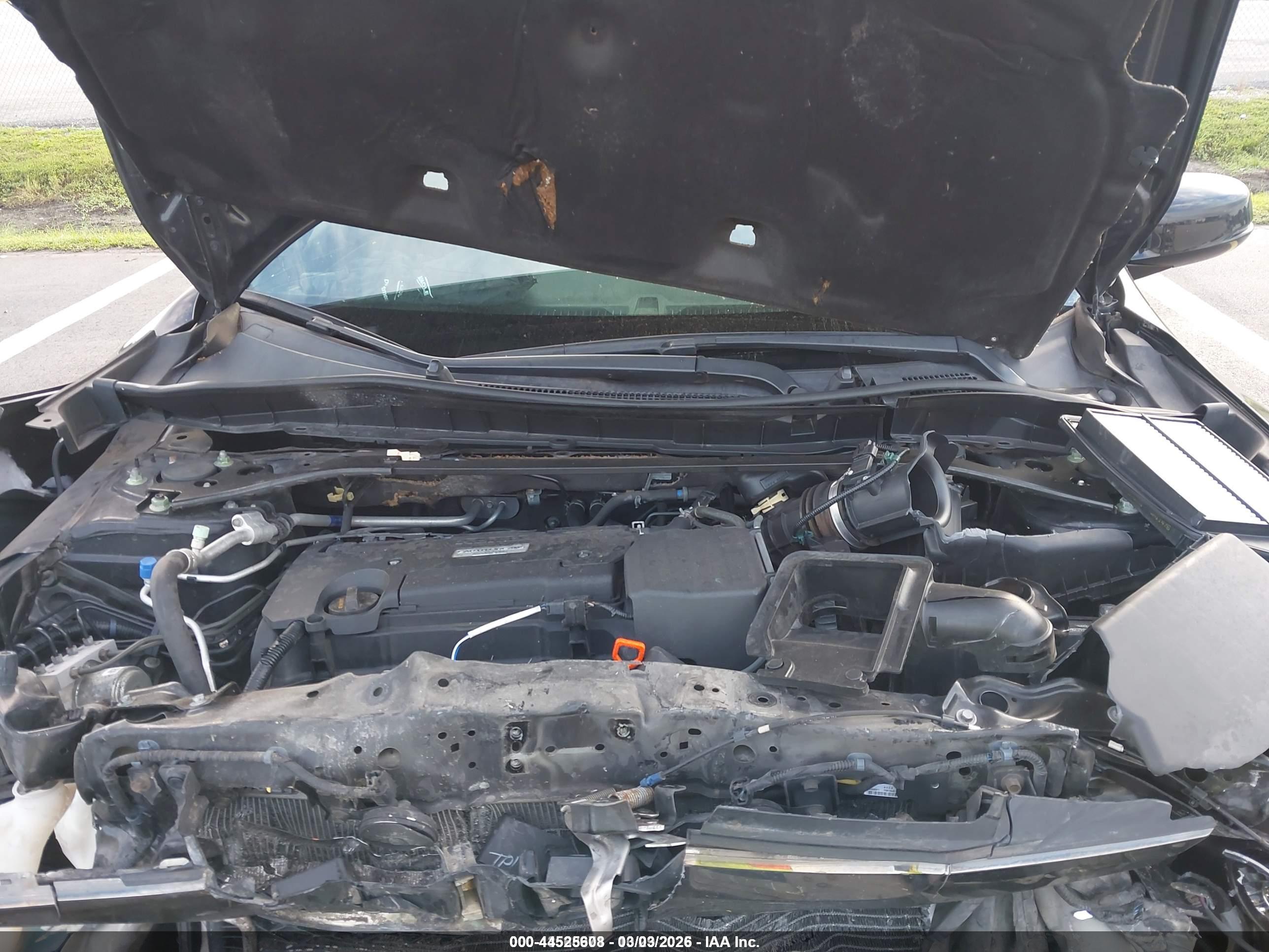 HONDA ACCORD image 10