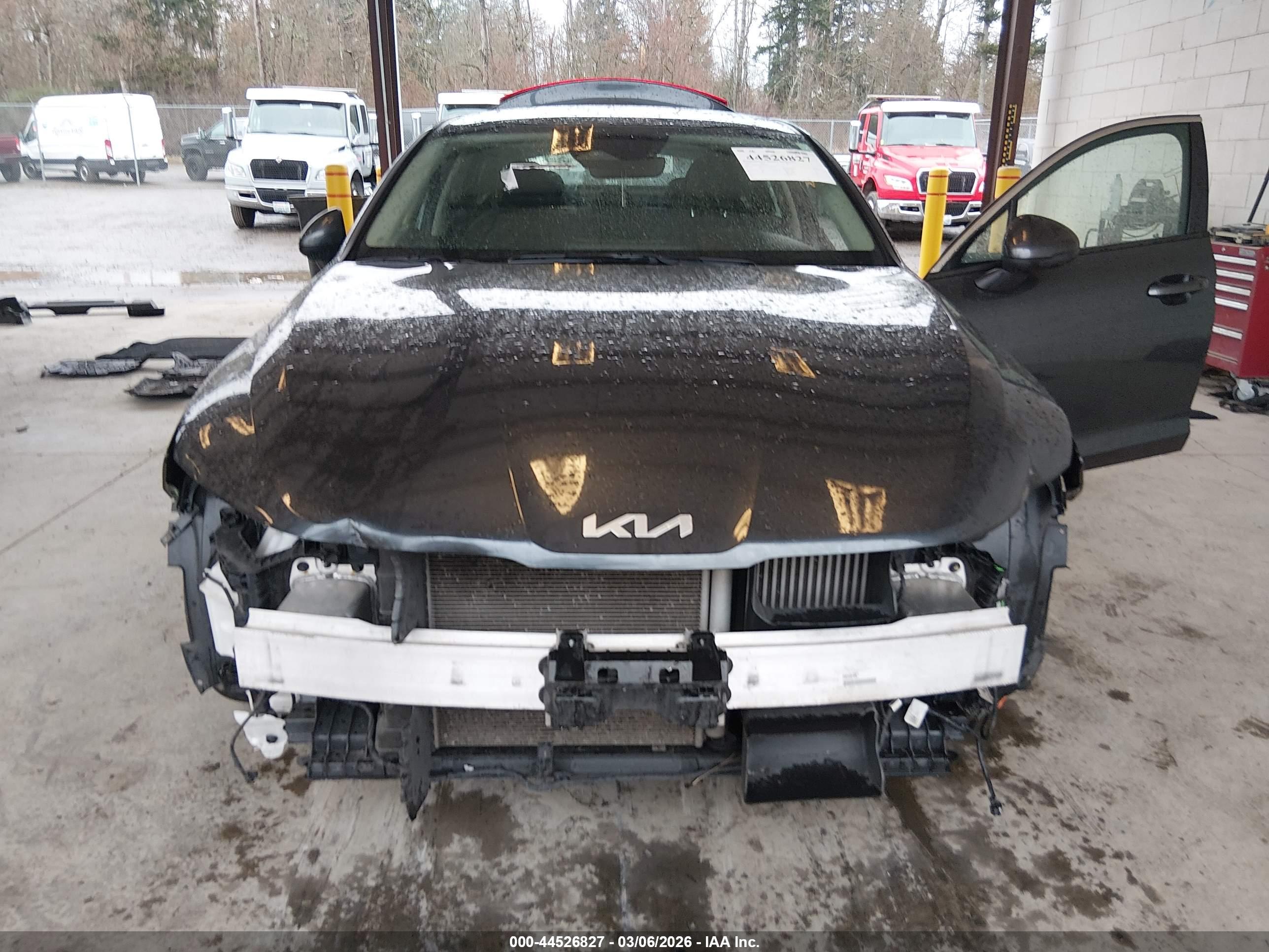 KIA K5 image 6