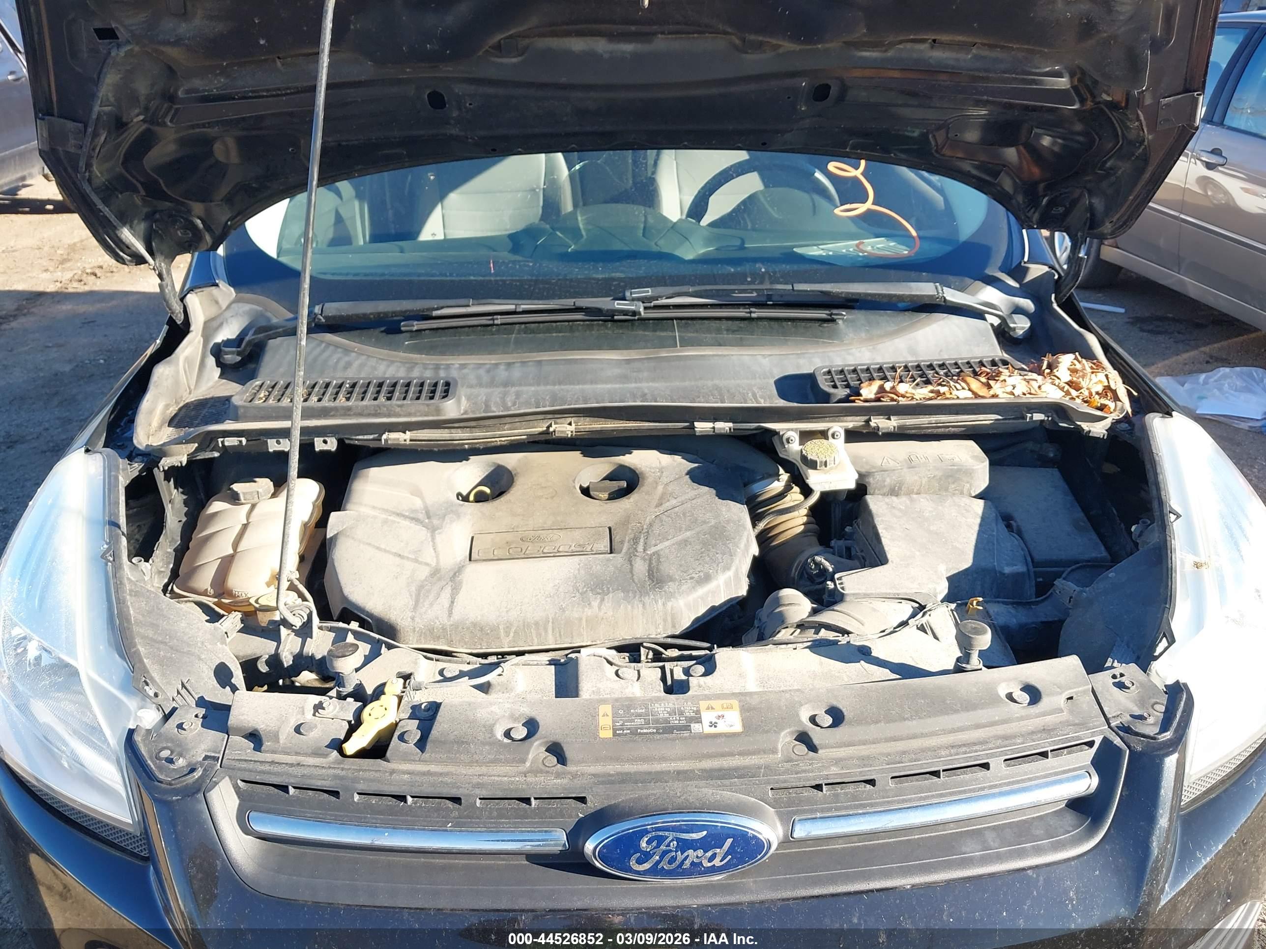 FORD ESCAPE image 10