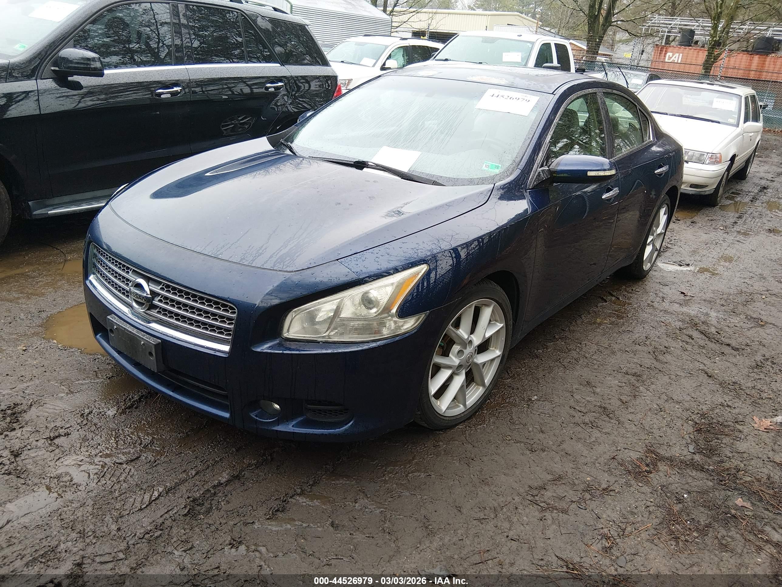 NISSAN MAXIMA image 2