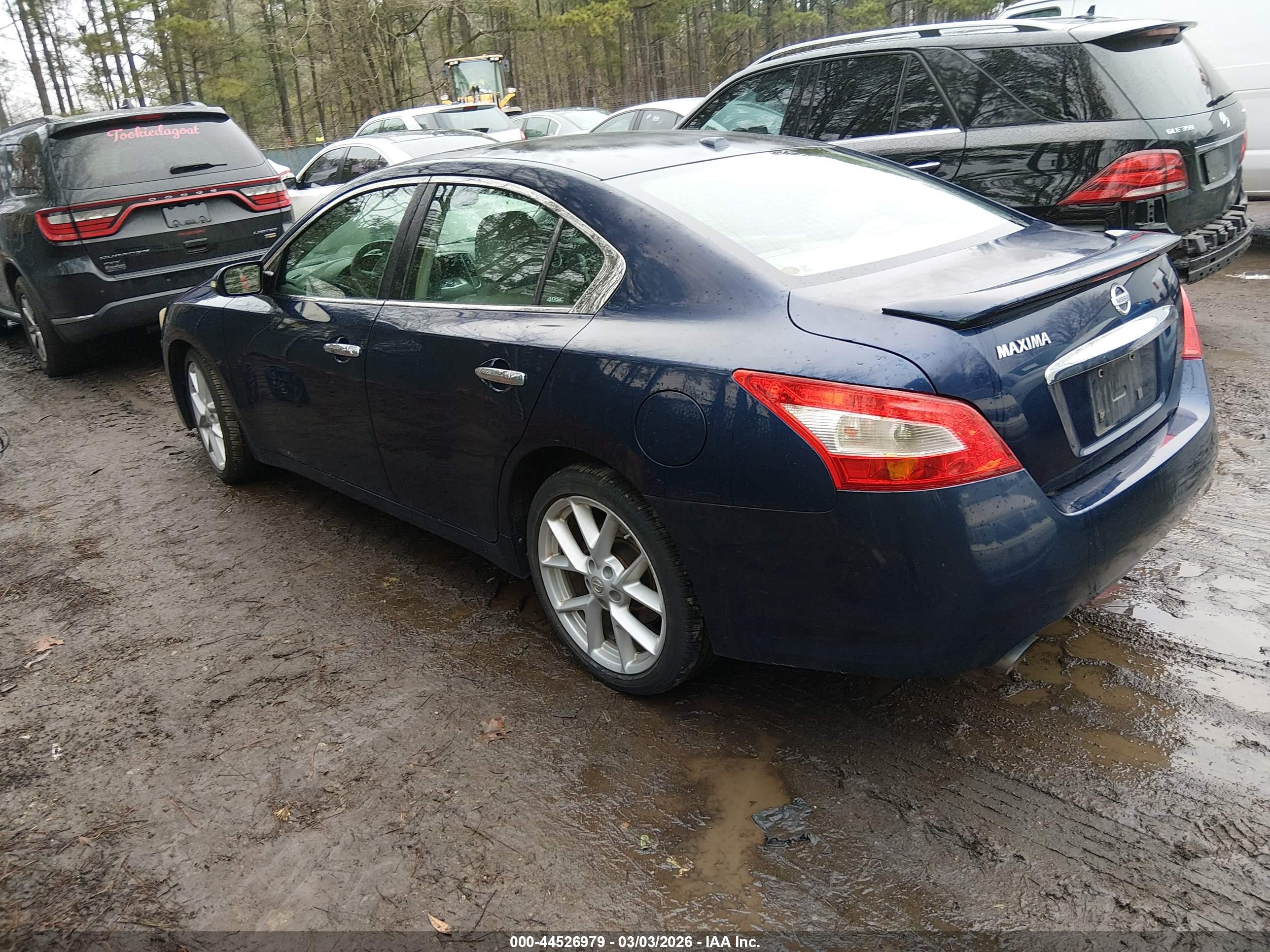 NISSAN MAXIMA image 3