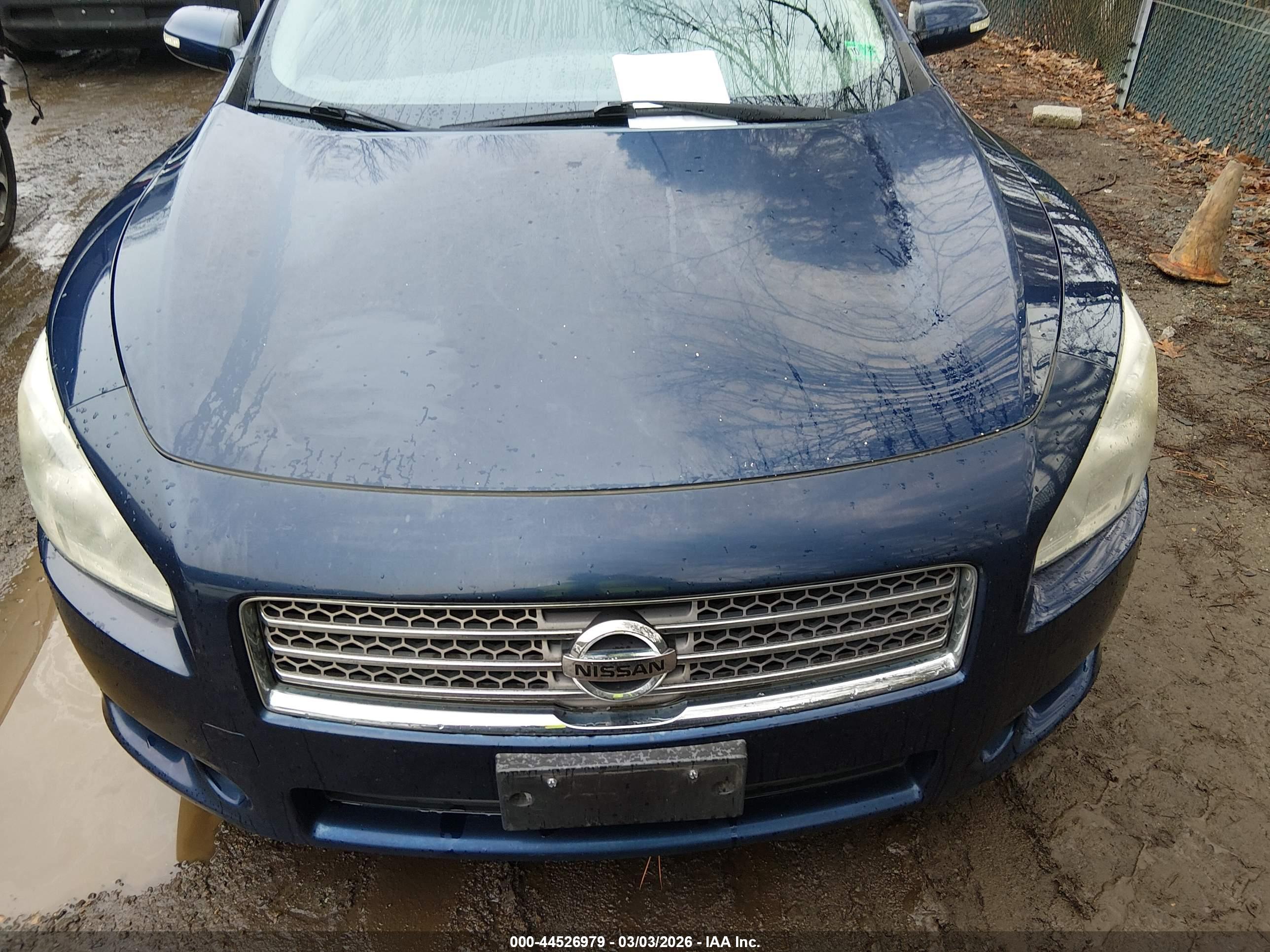 NISSAN MAXIMA image 6