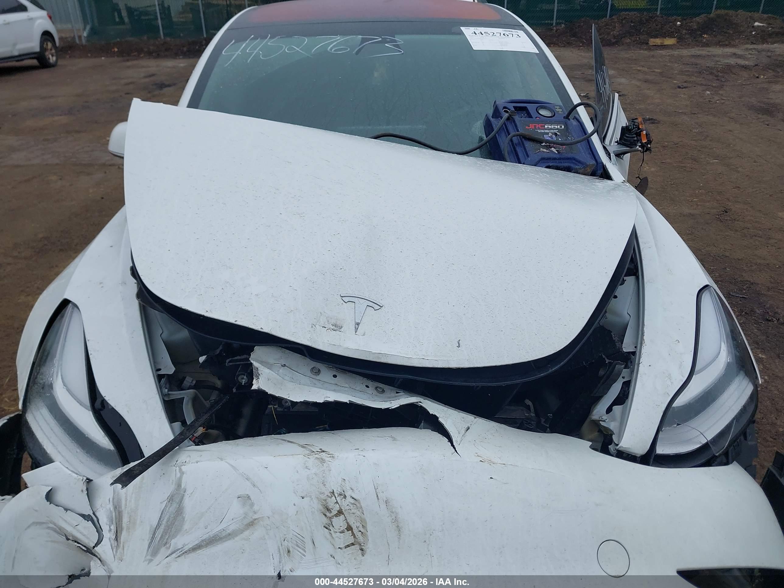 TESLA MODEL image 10