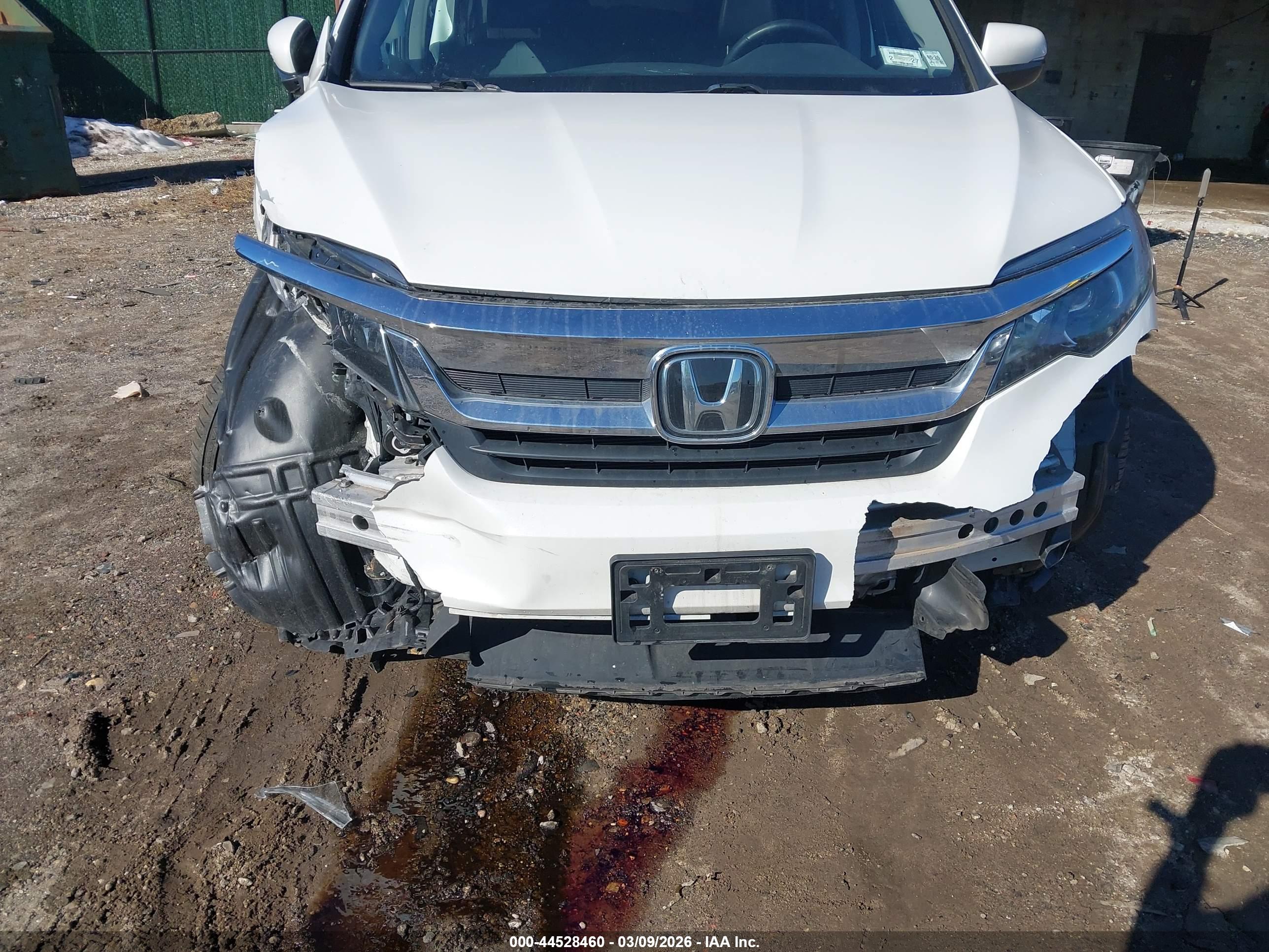 HONDA PILOT image 6