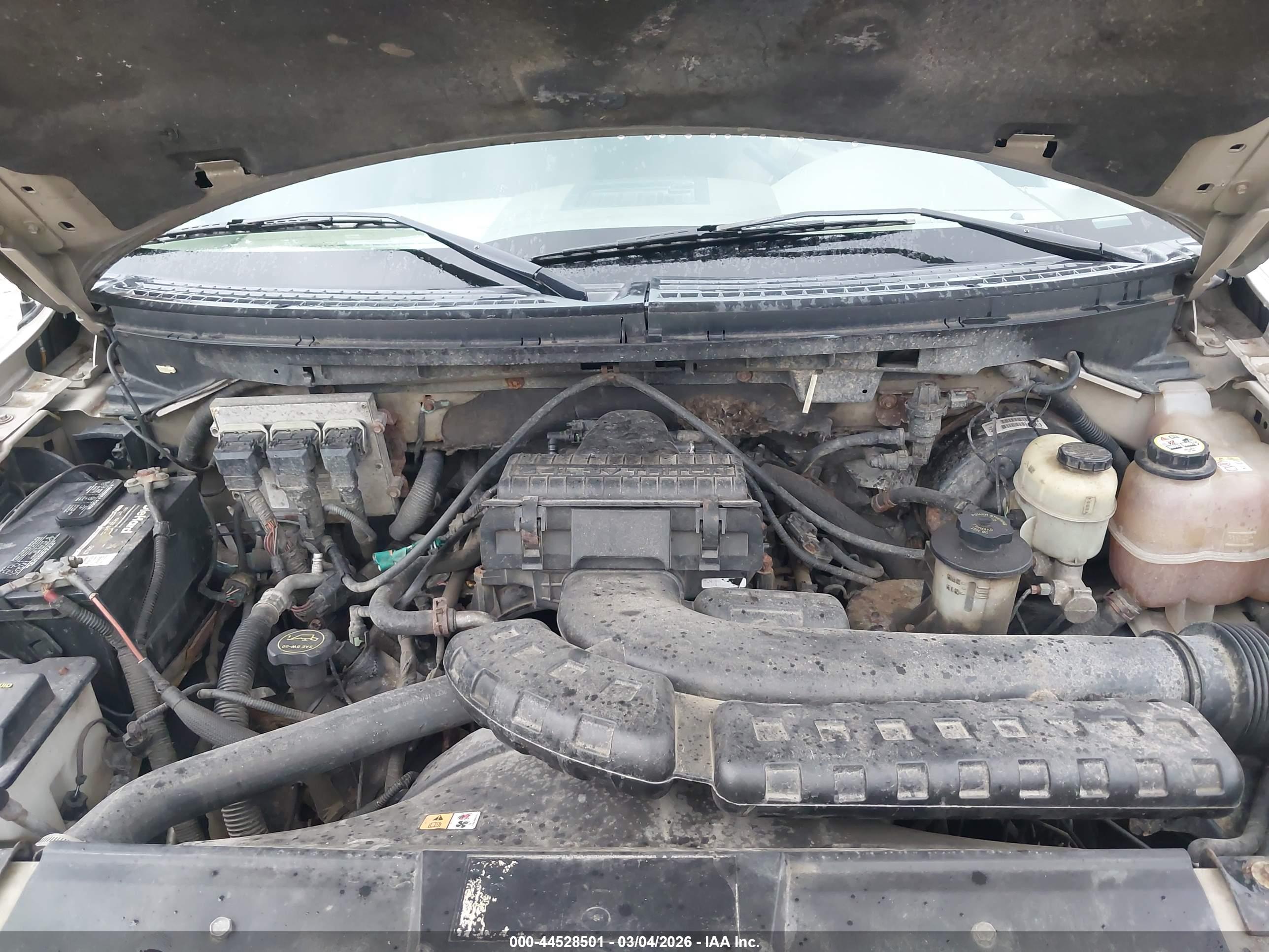 FORD F-150 image 10