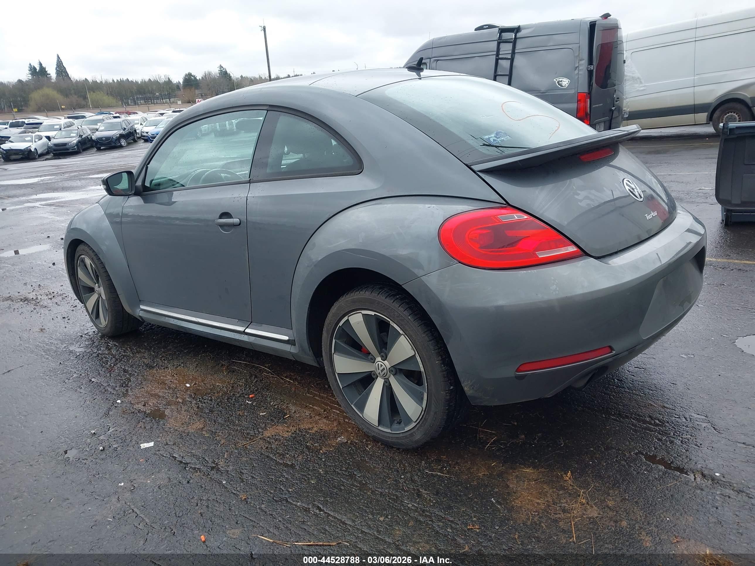 VOLKSWAGEN BEETLE image 3