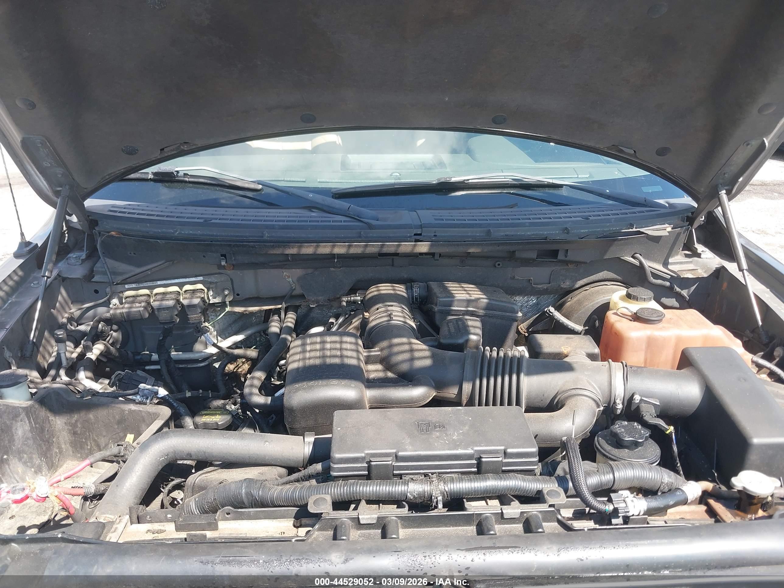 FORD F-150 image 10