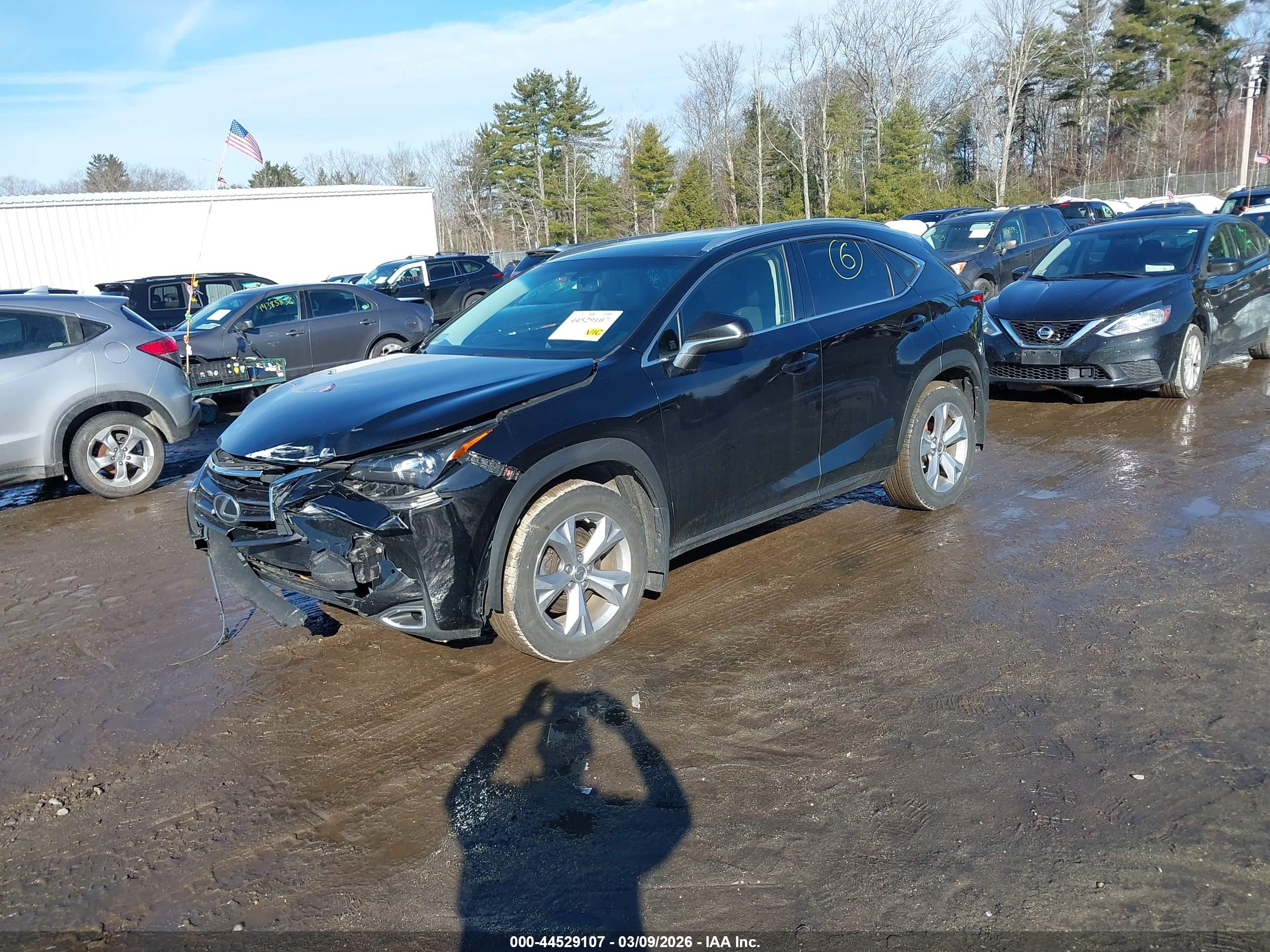LEXUS NX image 2