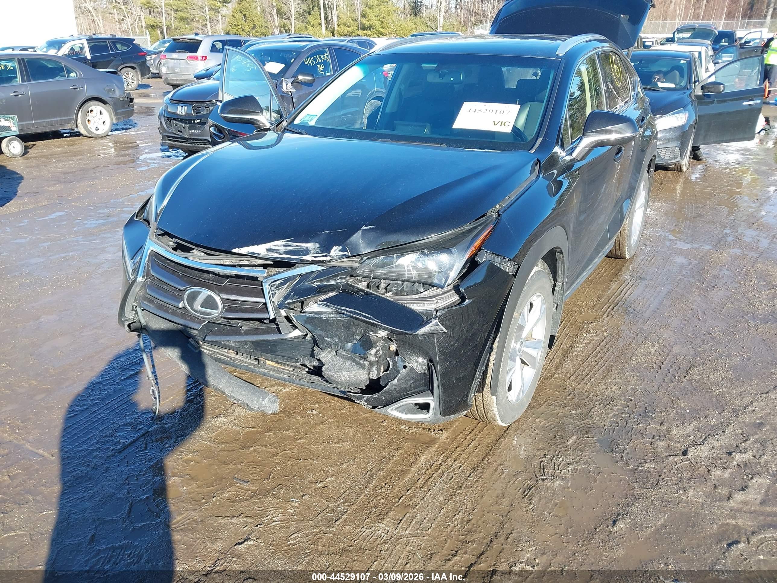 LEXUS NX image 6