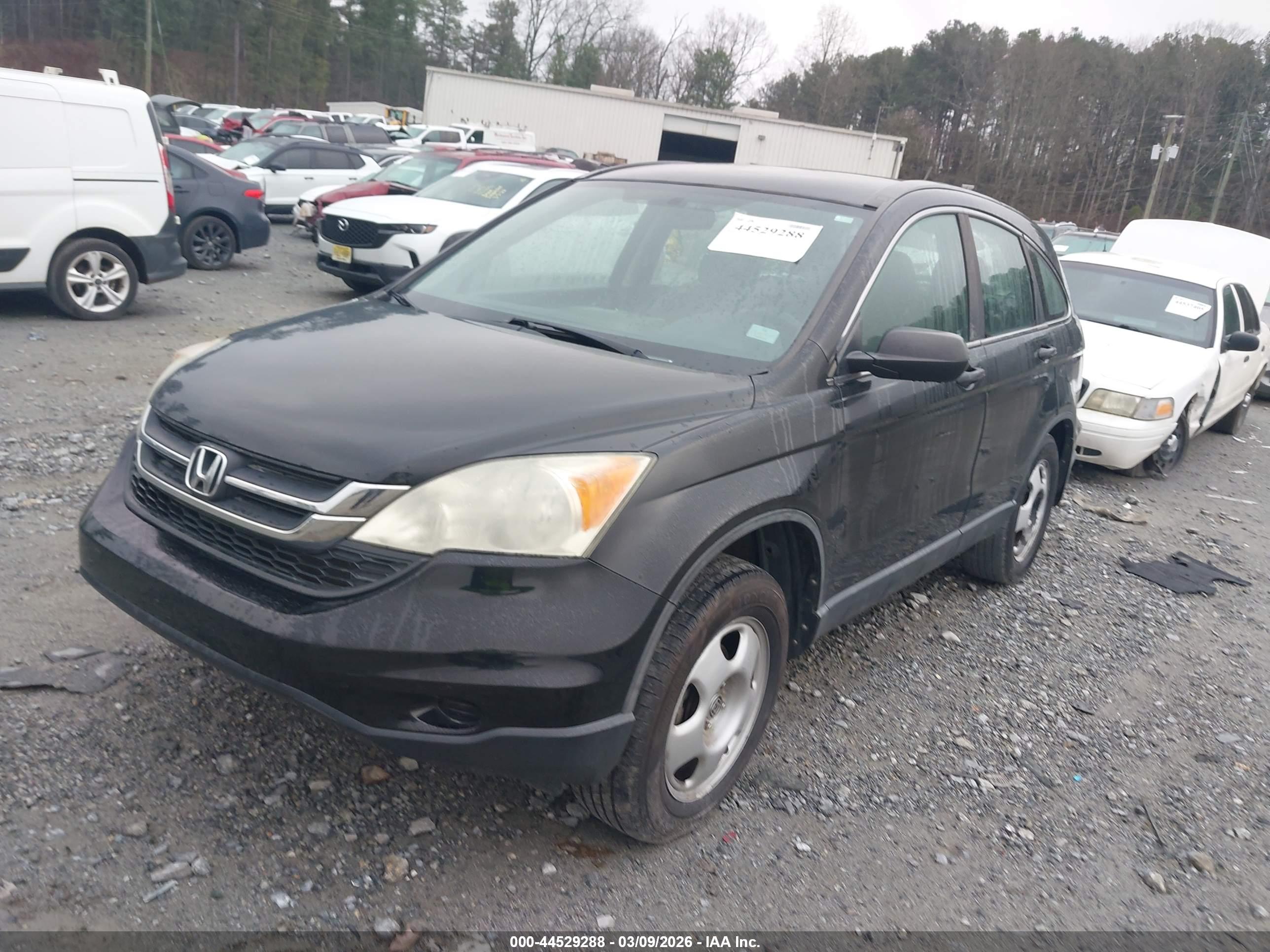 HONDA CR-V image 2