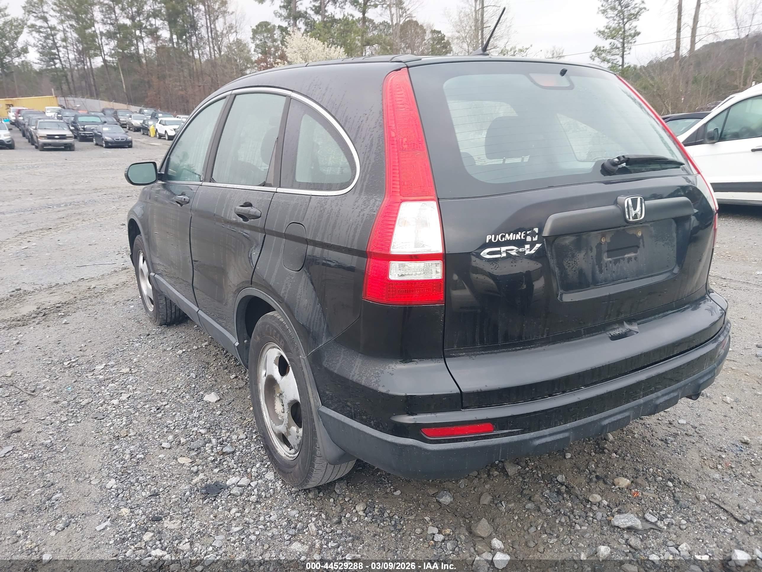 HONDA CR-V image 3