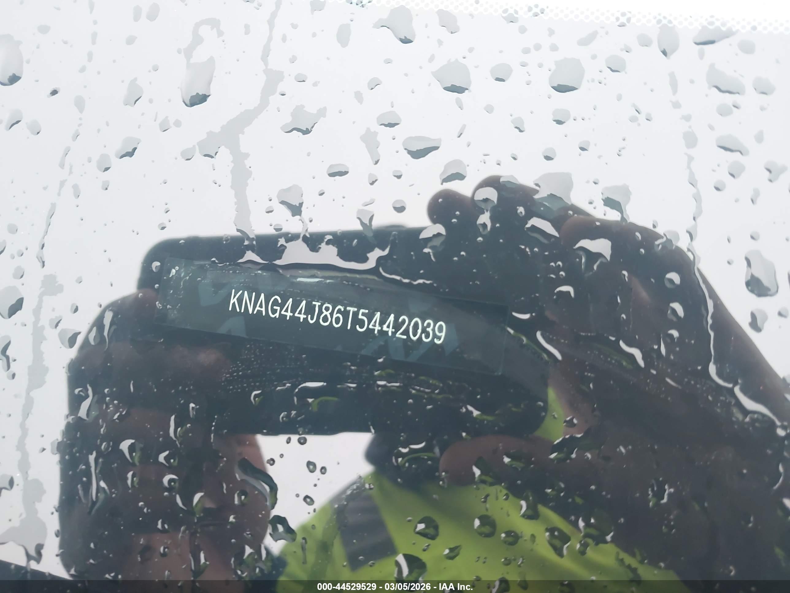 KIA K5 image 9