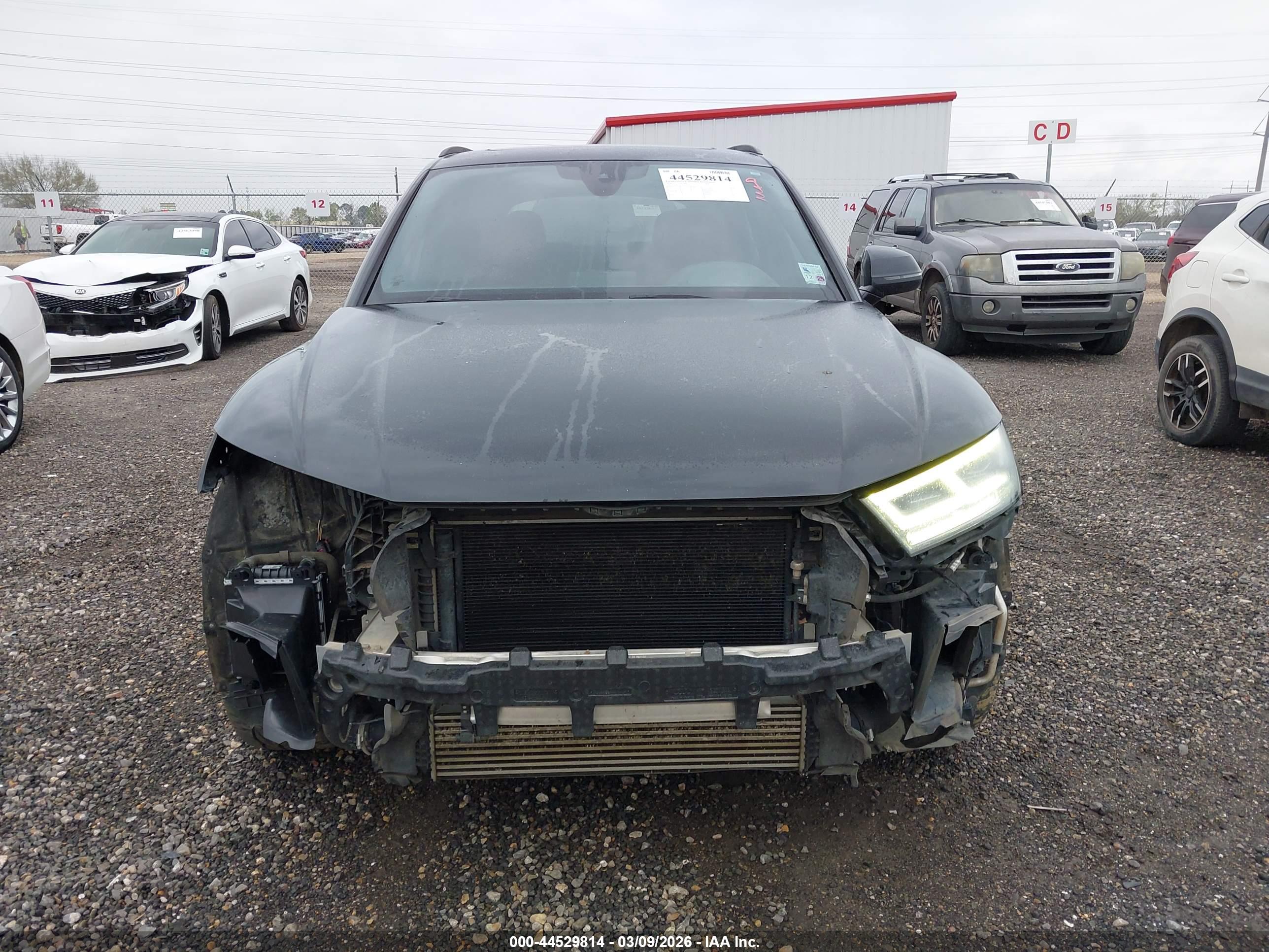 AUDI SQ5 image 6