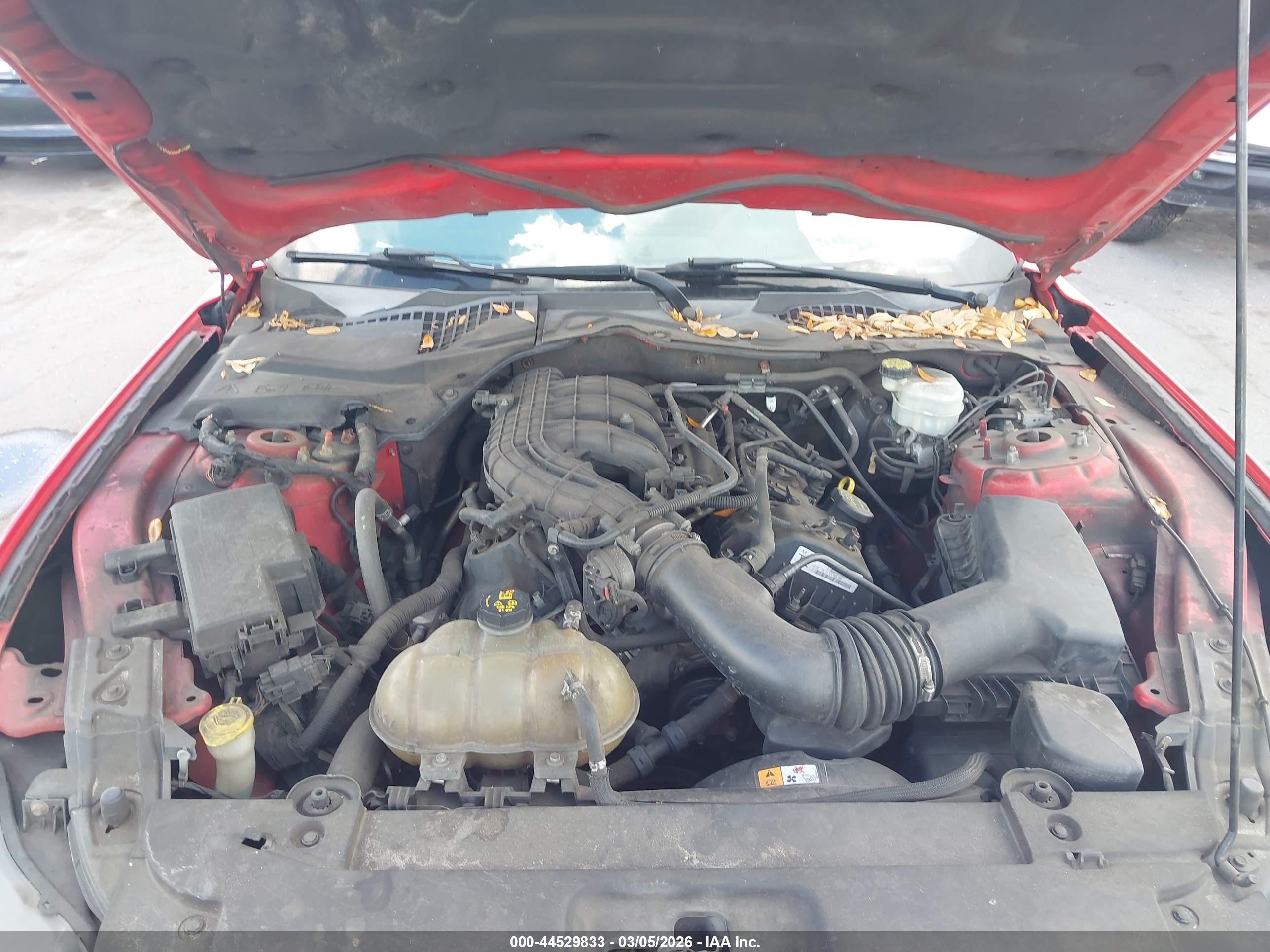 FORD MUSTANG image 10
