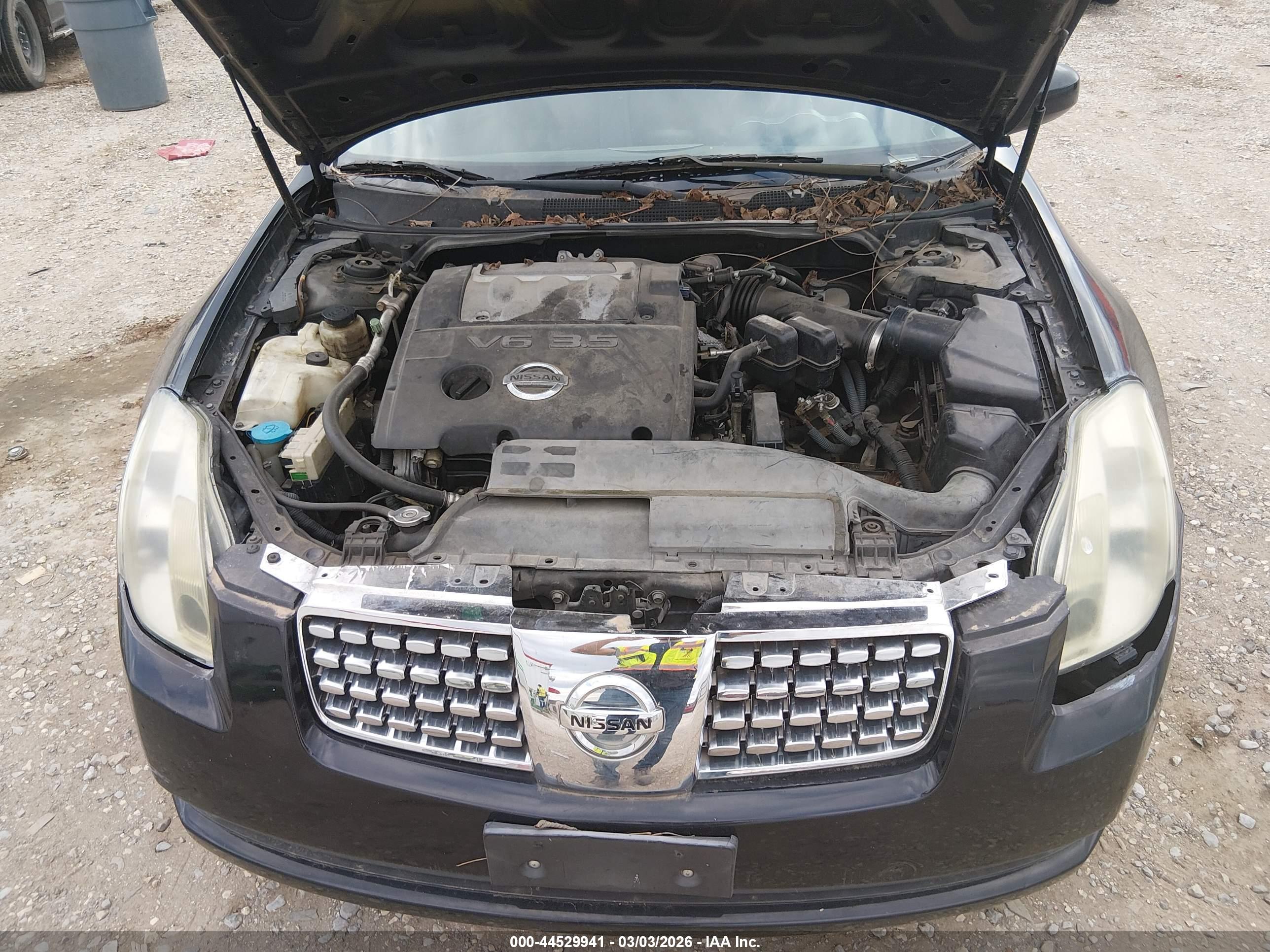 NISSAN MAXIMA image 10