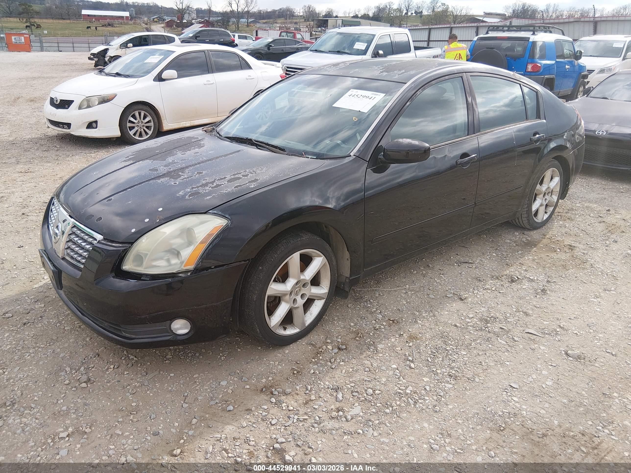 NISSAN MAXIMA image 2