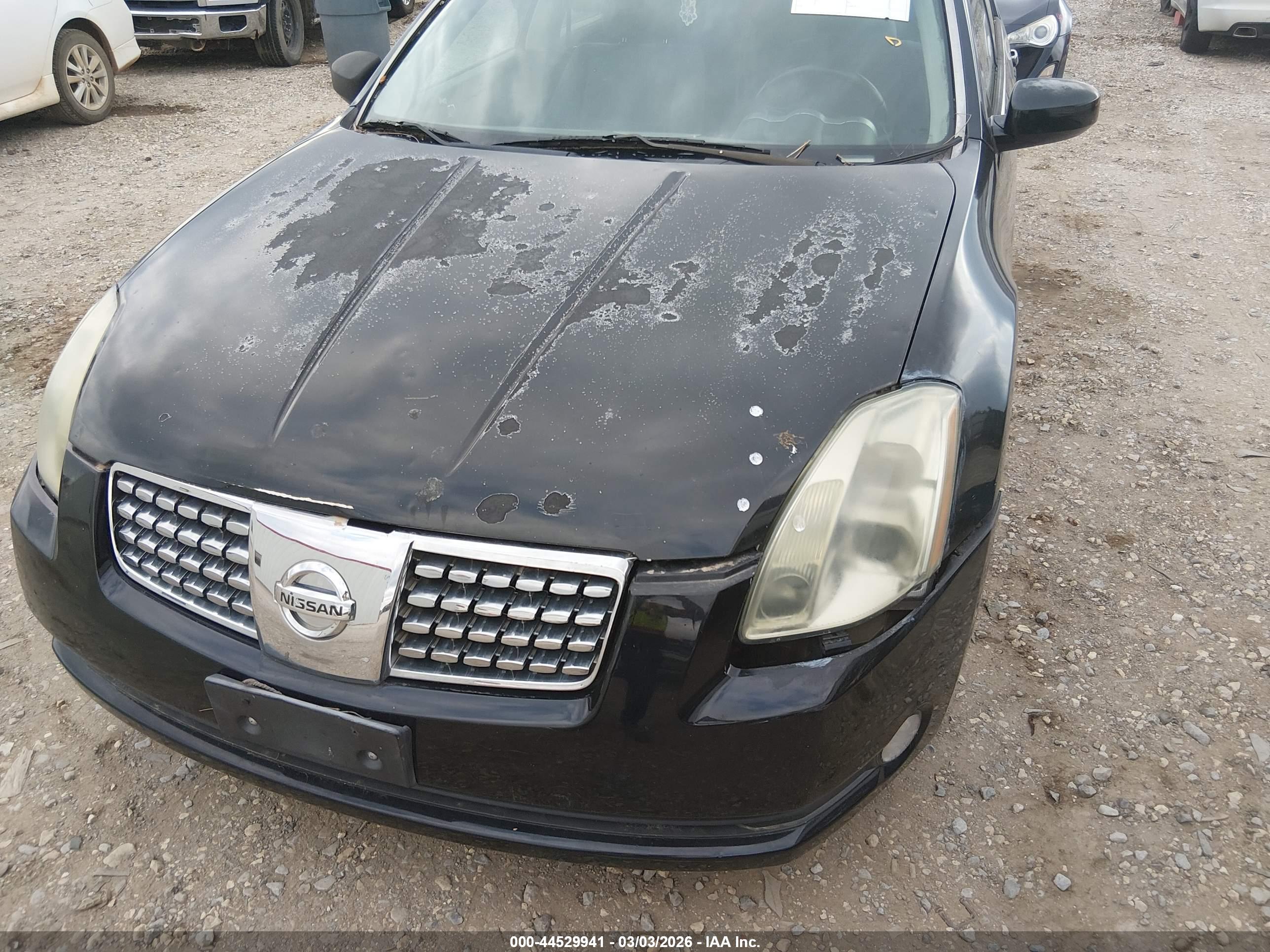 NISSAN MAXIMA image 6