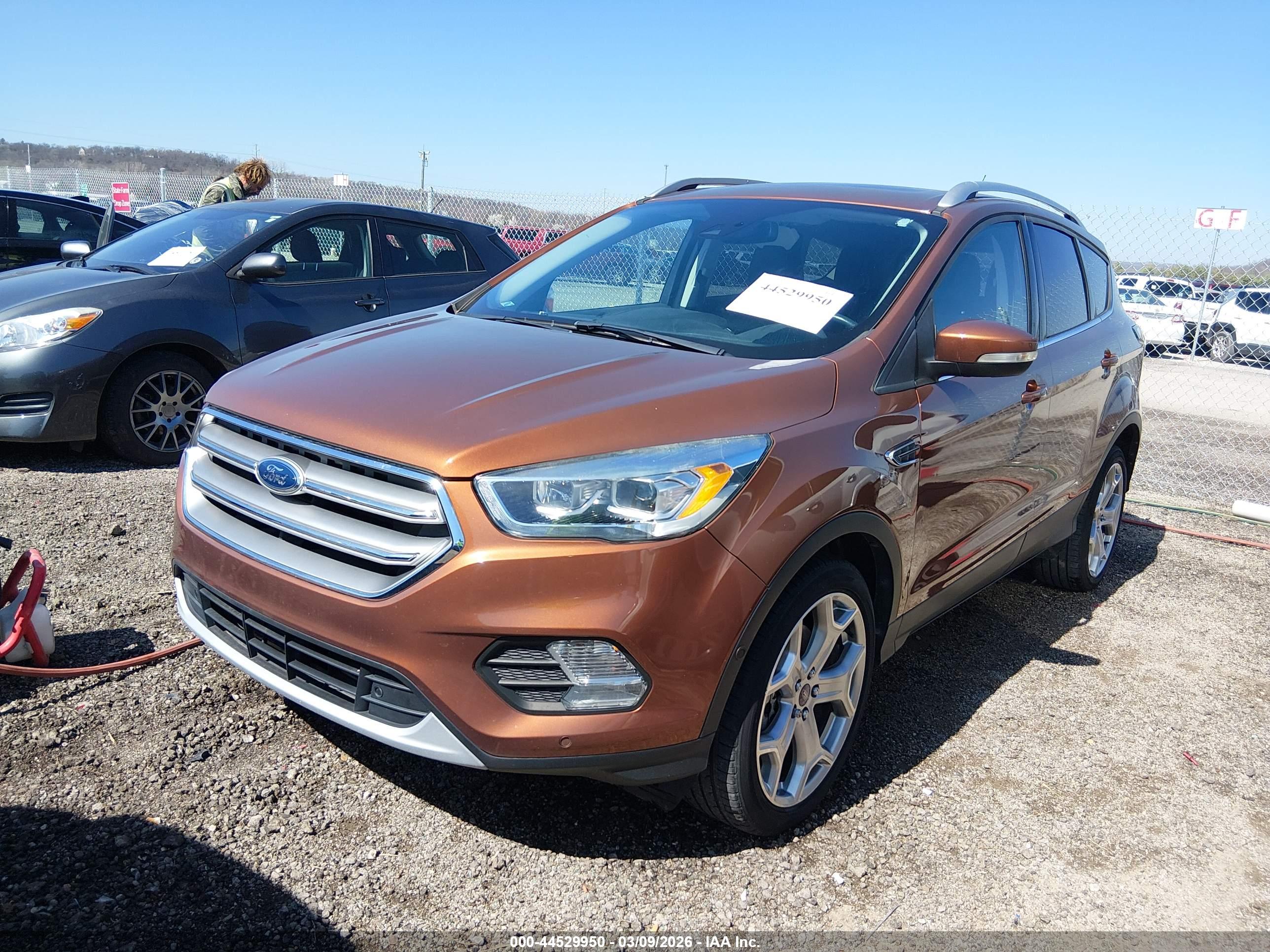 FORD ESCAPE image 6