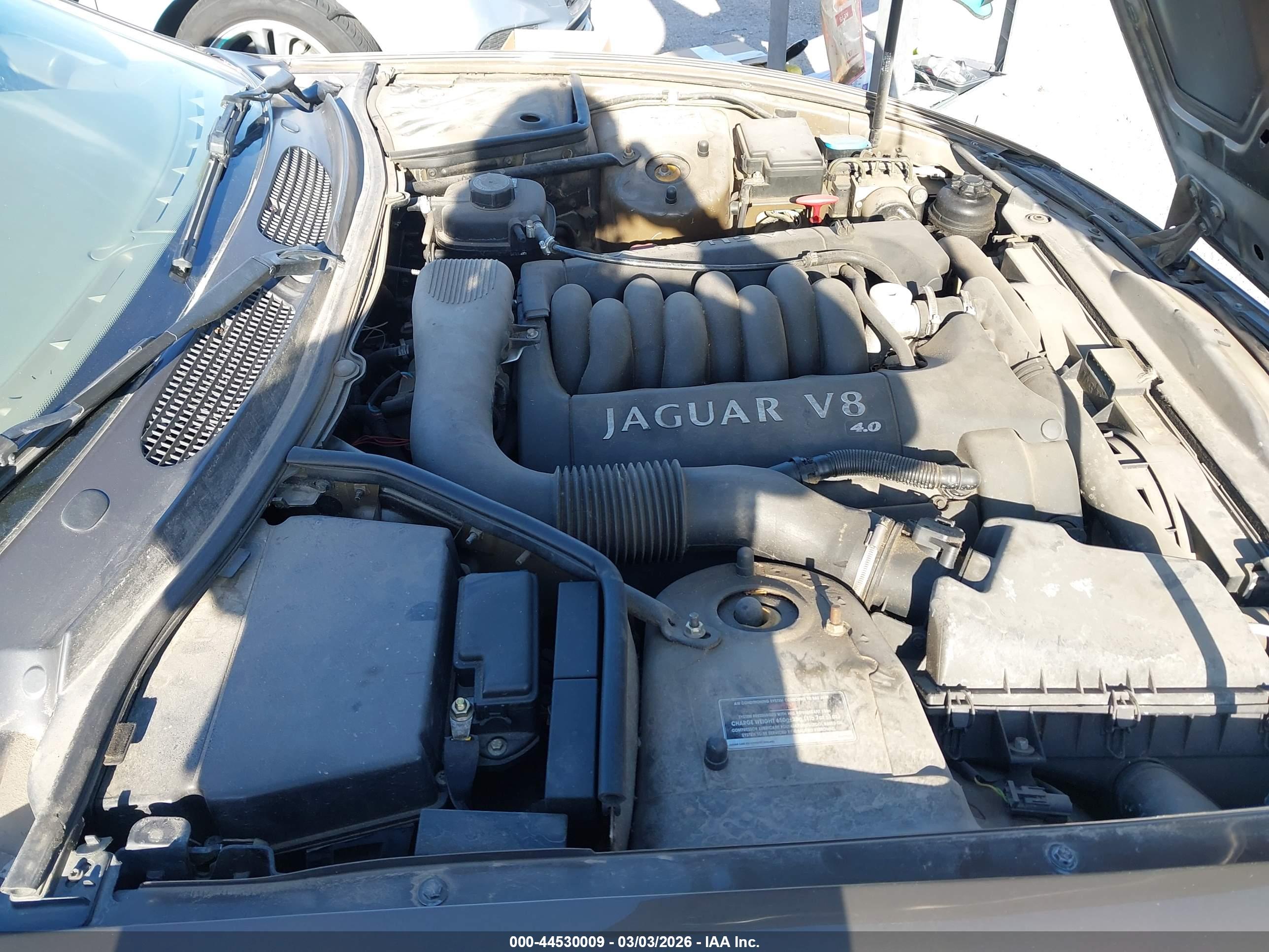 JAGUAR XK8 image 10