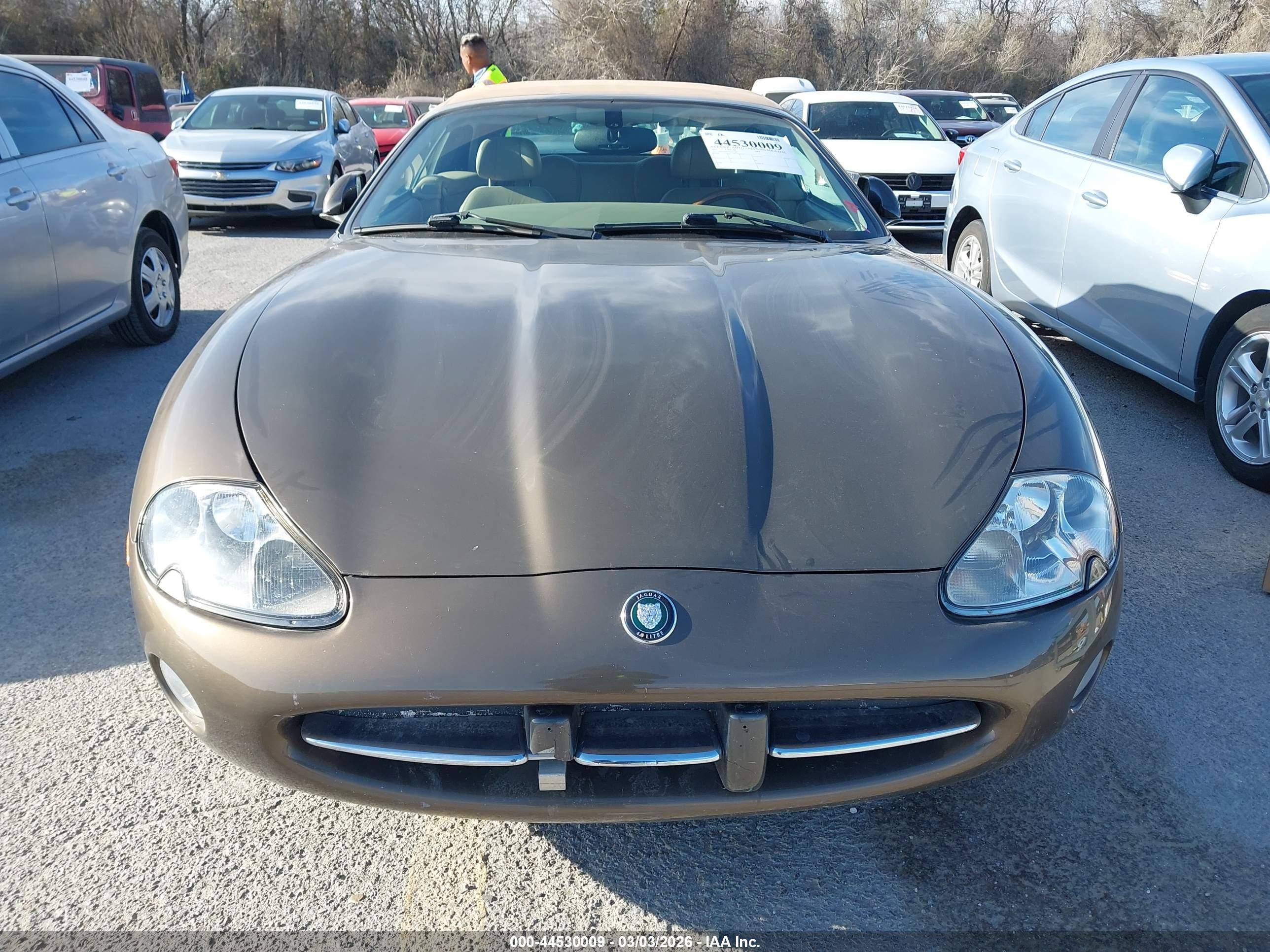 JAGUAR XK8 image 6