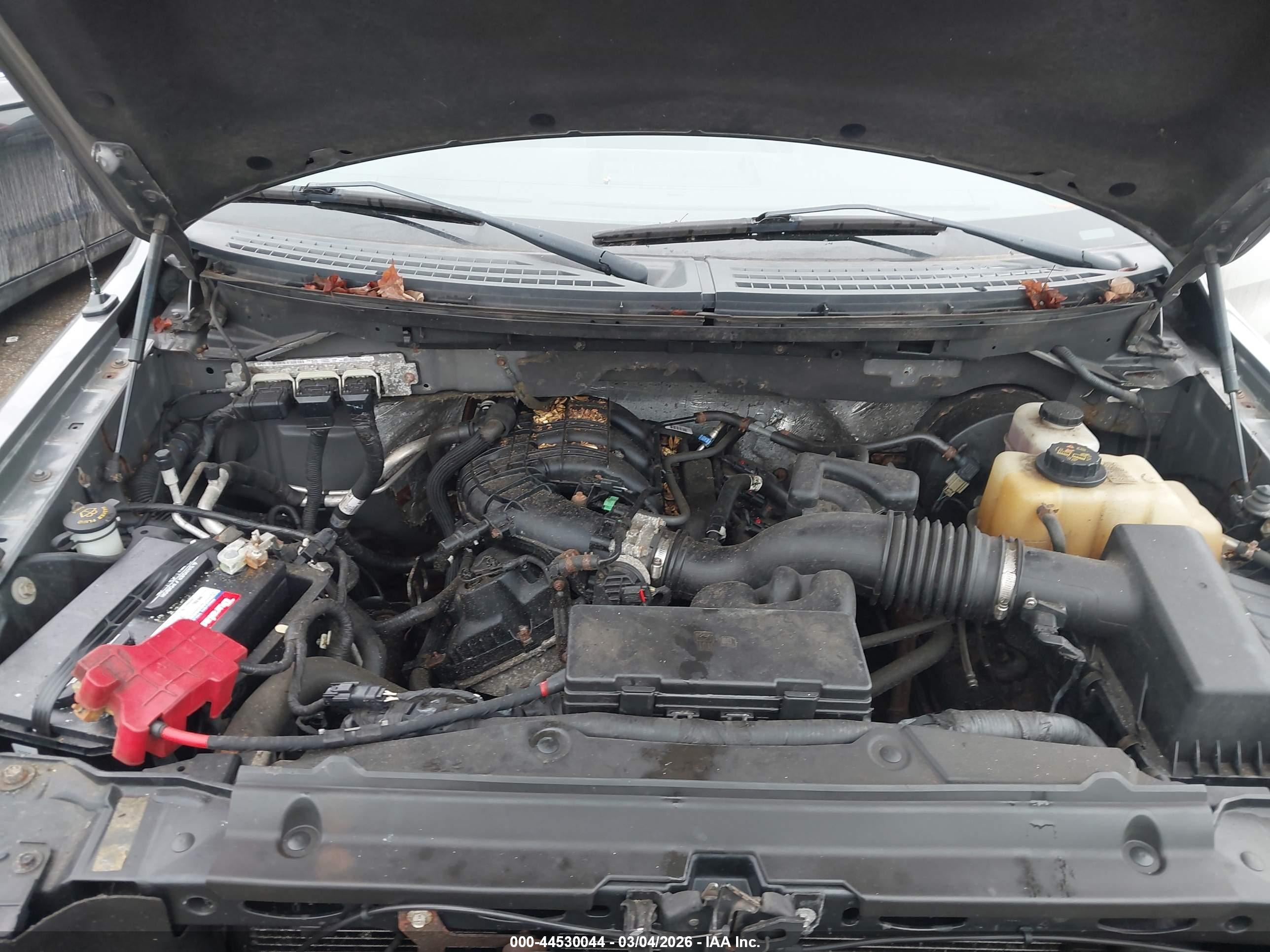 FORD F-150 image 10