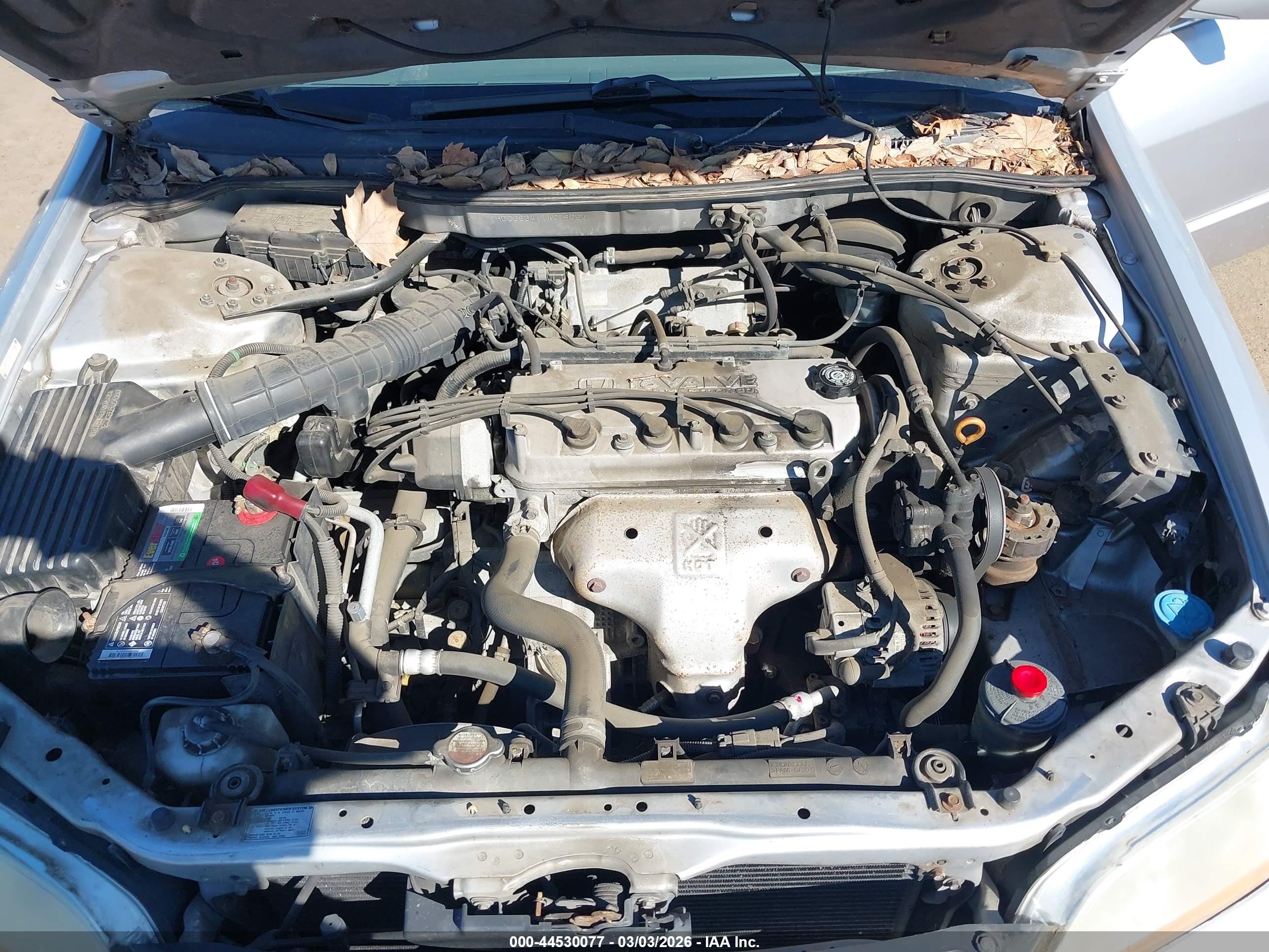 HONDA ACCORD image 10