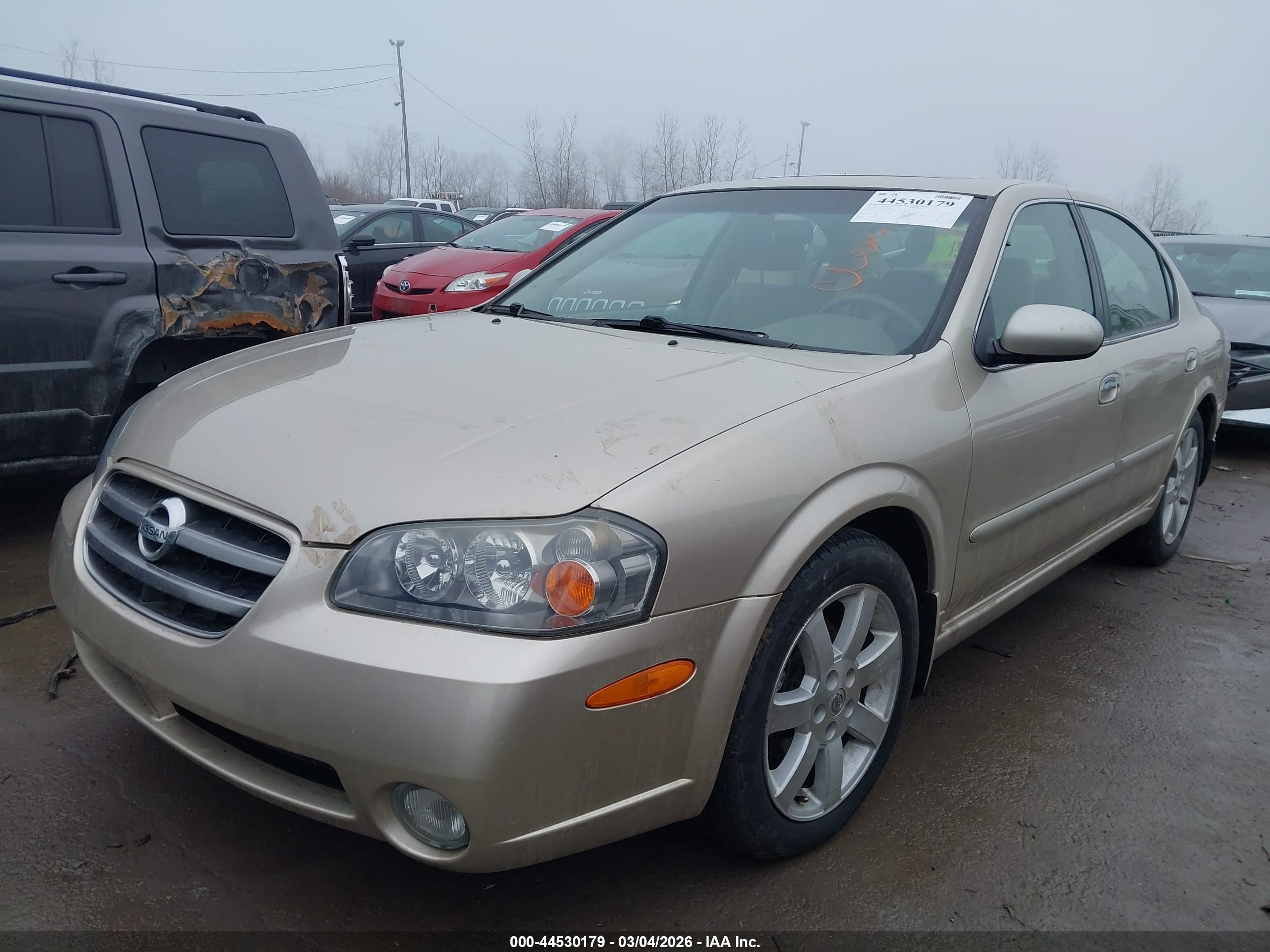 NISSAN MAXIMA image 2