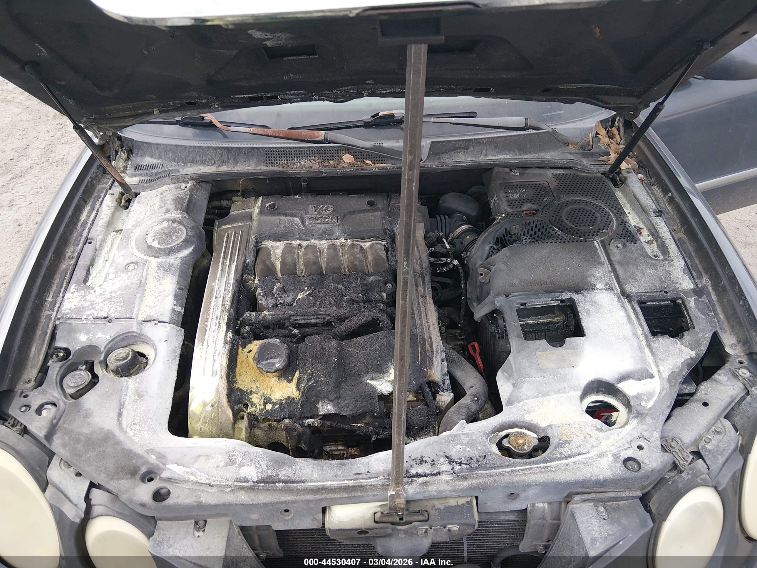 KIA AMANTI image 6