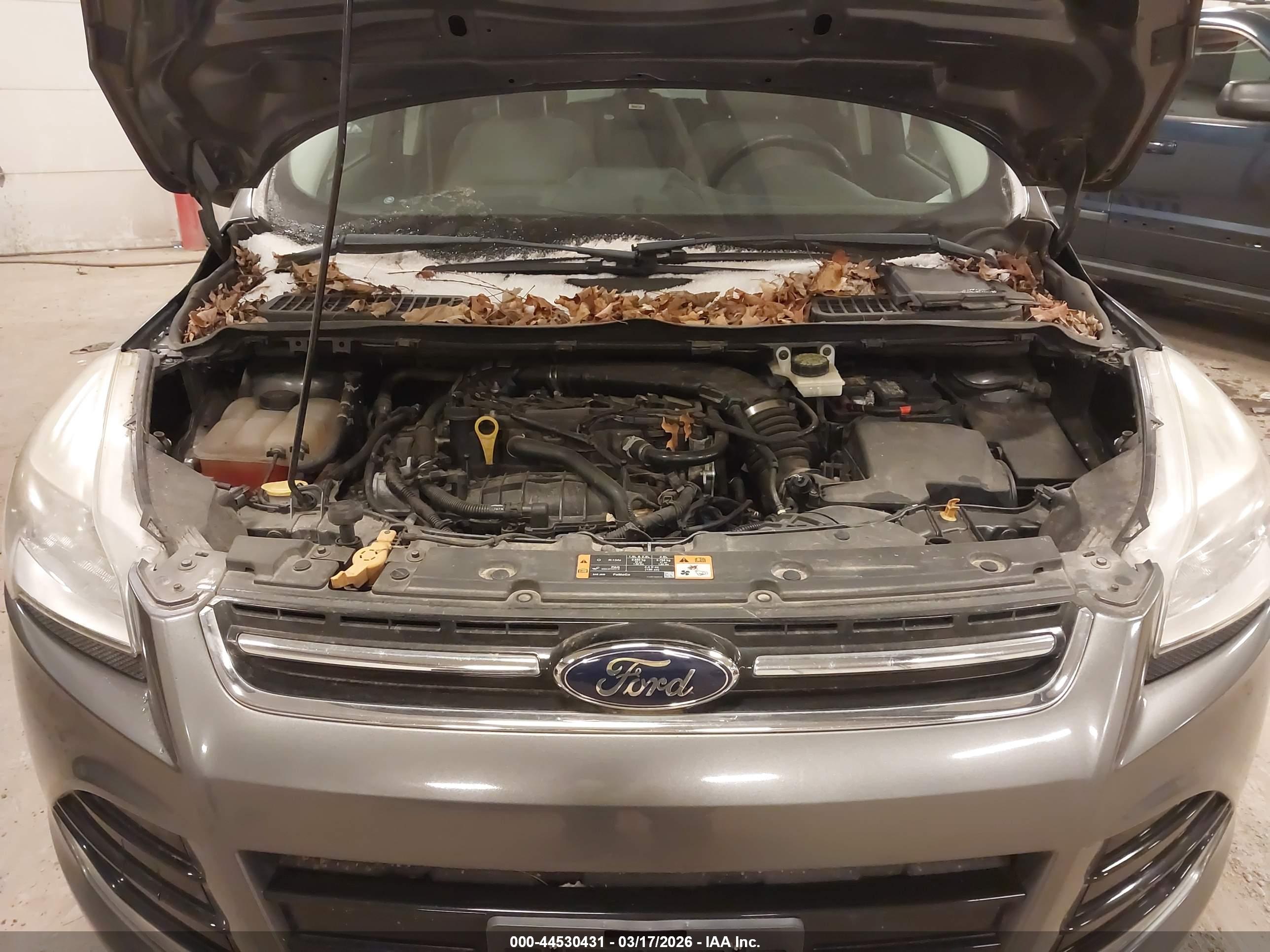 FORD ESCAPE image 10
