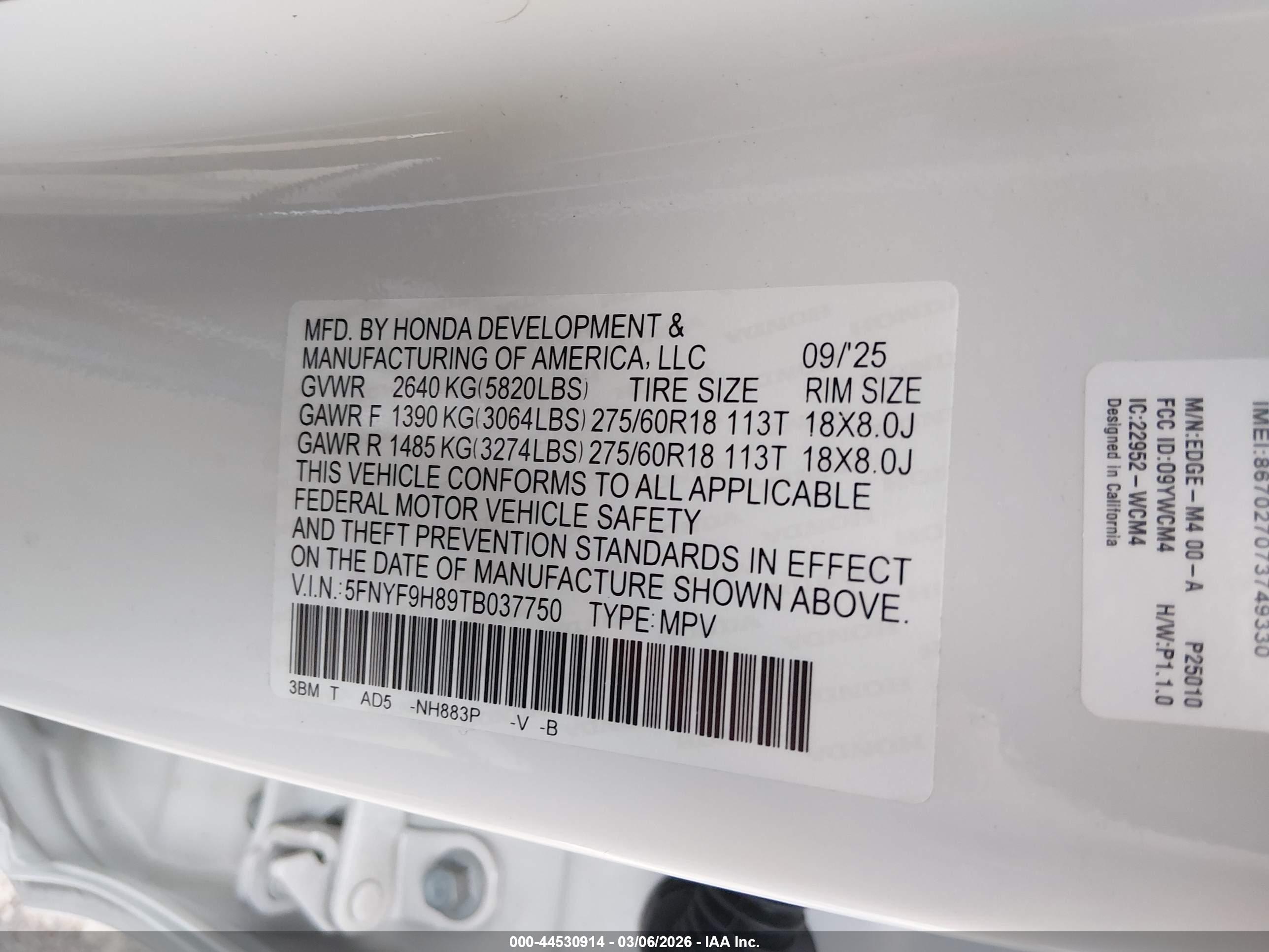HONDA PASSPORT image 9