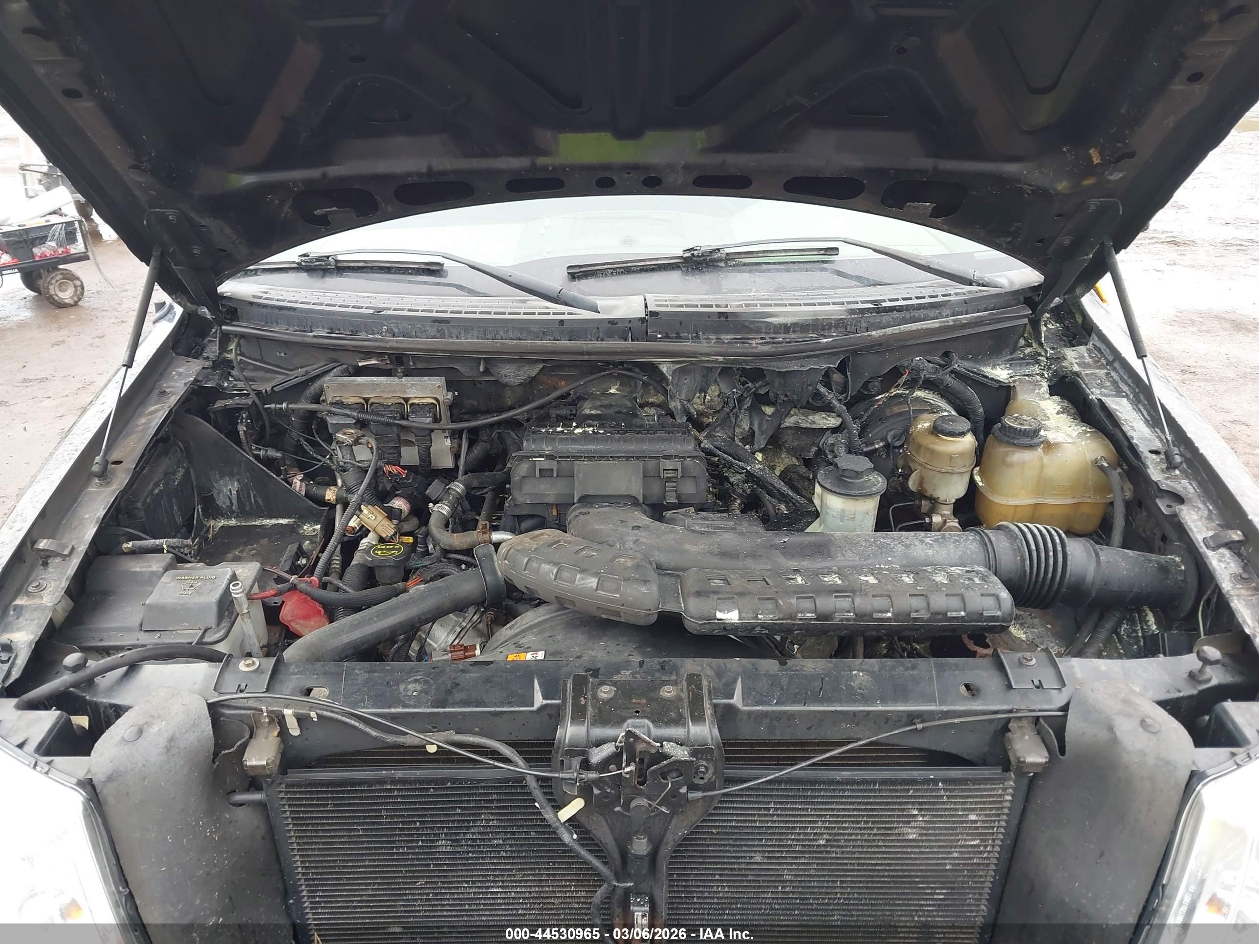 FORD F-150 image 10