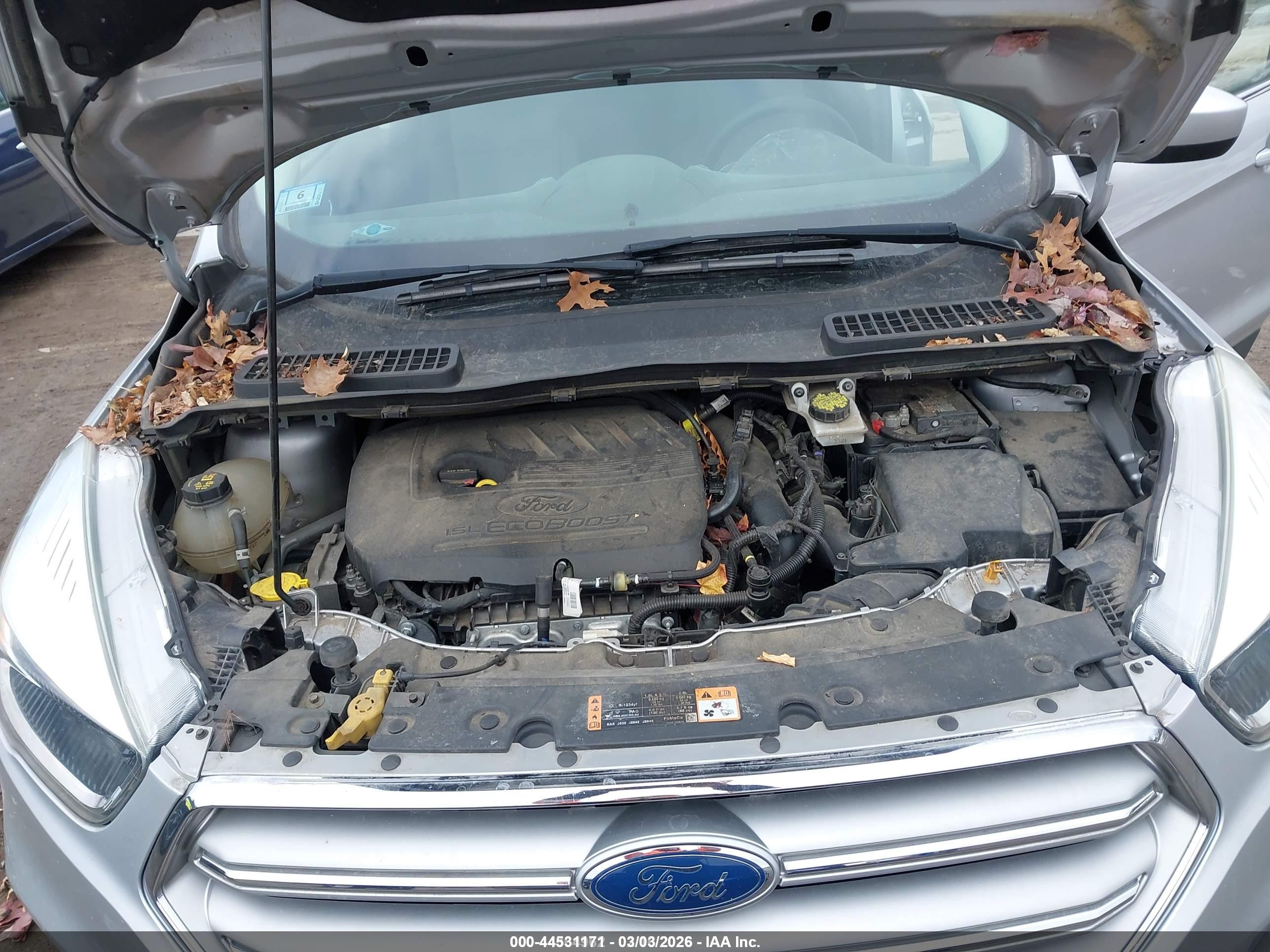 FORD ESCAPE image 10