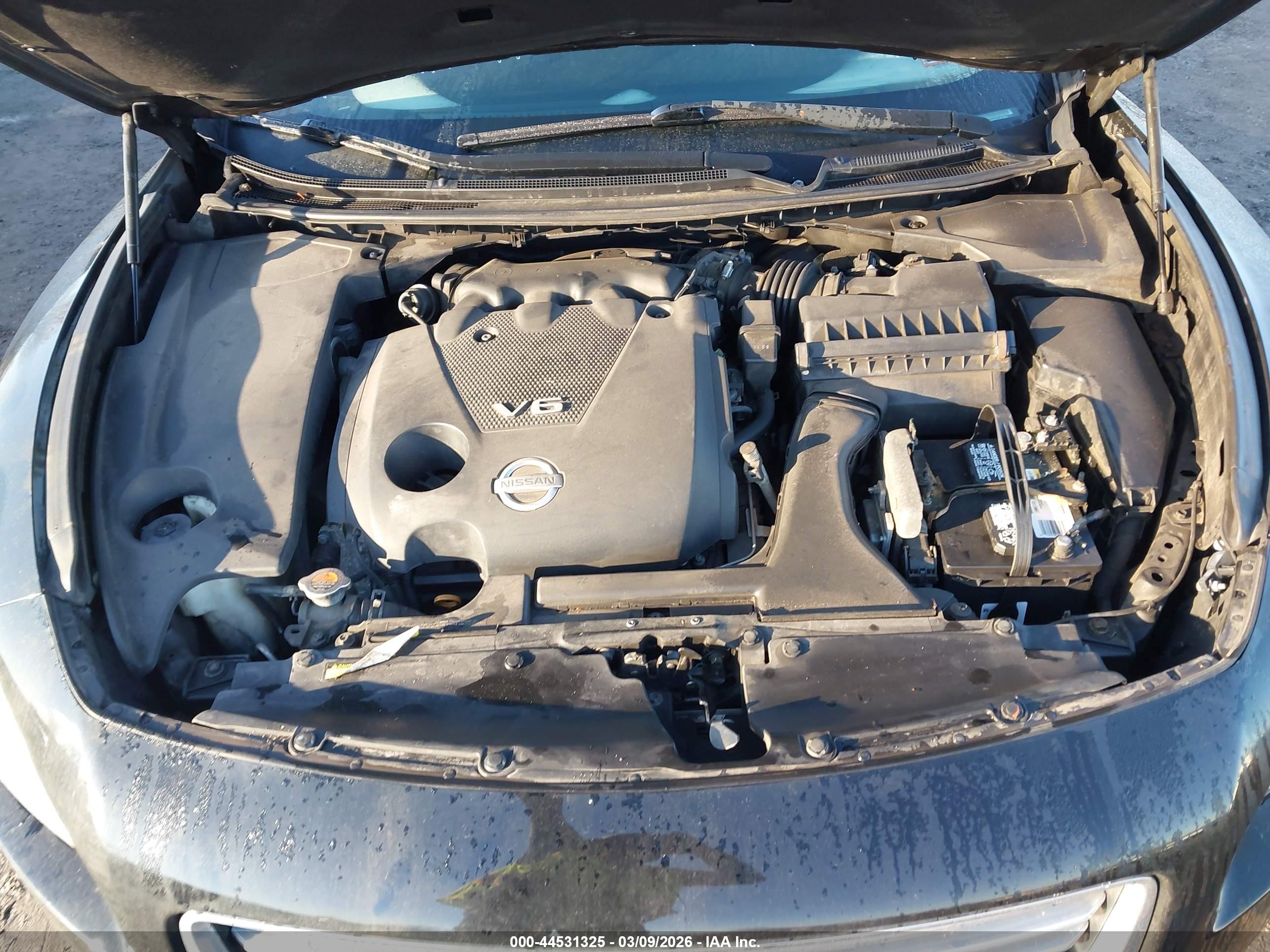 NISSAN MAXIMA image 10