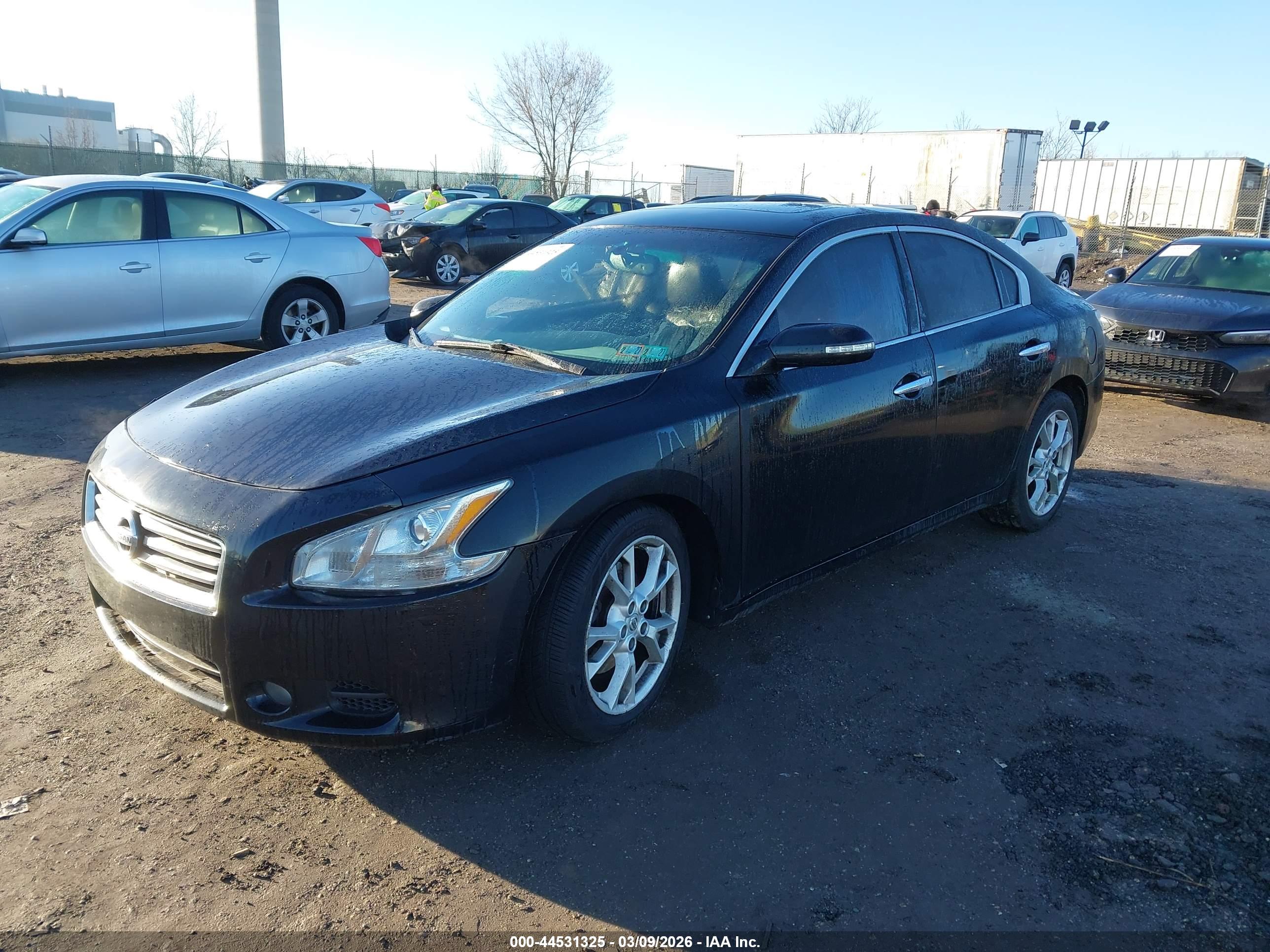 NISSAN MAXIMA image 2