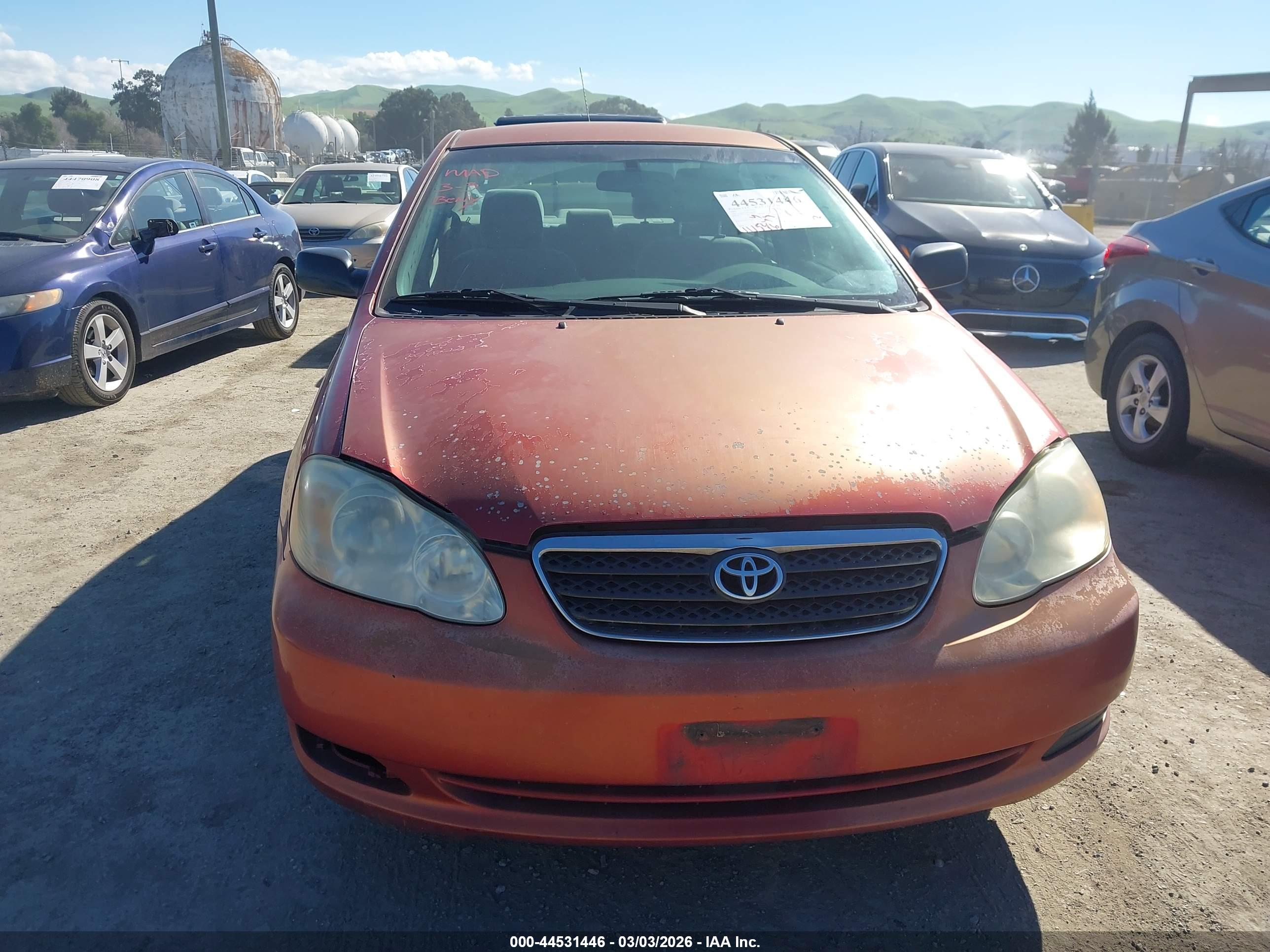 TOYOTA COROLLA image 6