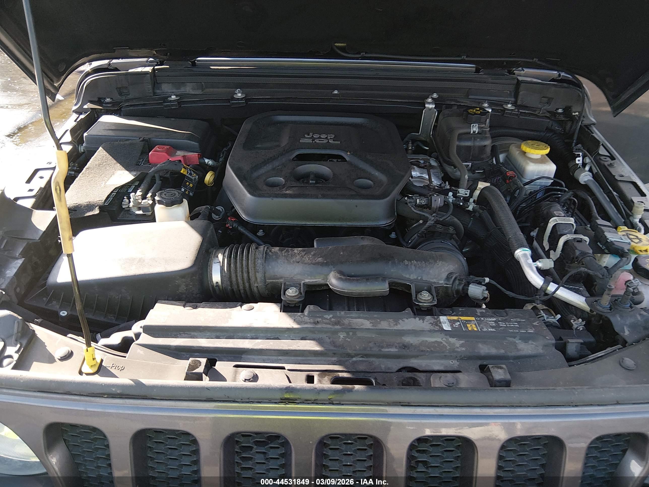 JEEP WRANGLER image 10