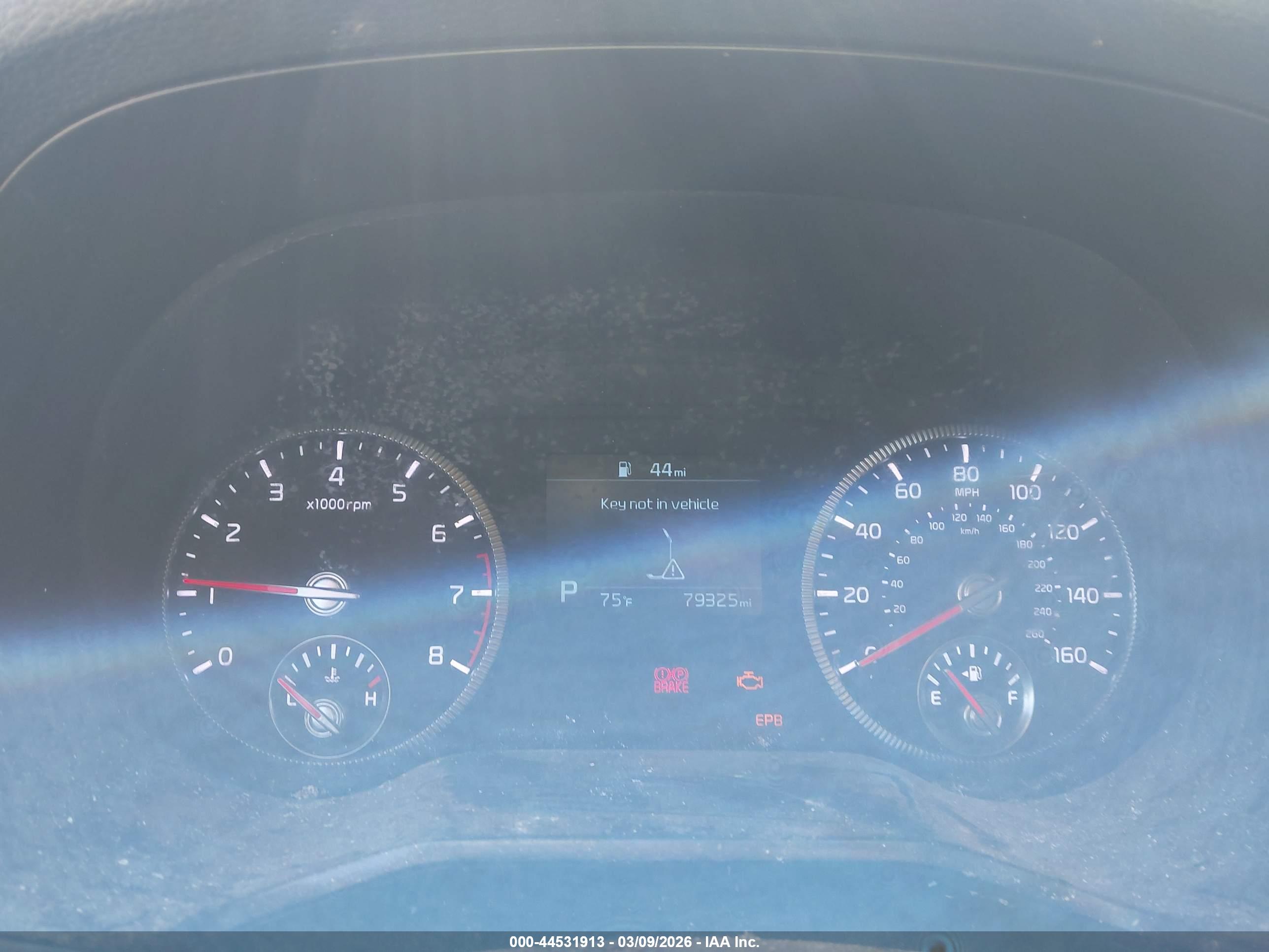 KIA TELLURIDE image 7