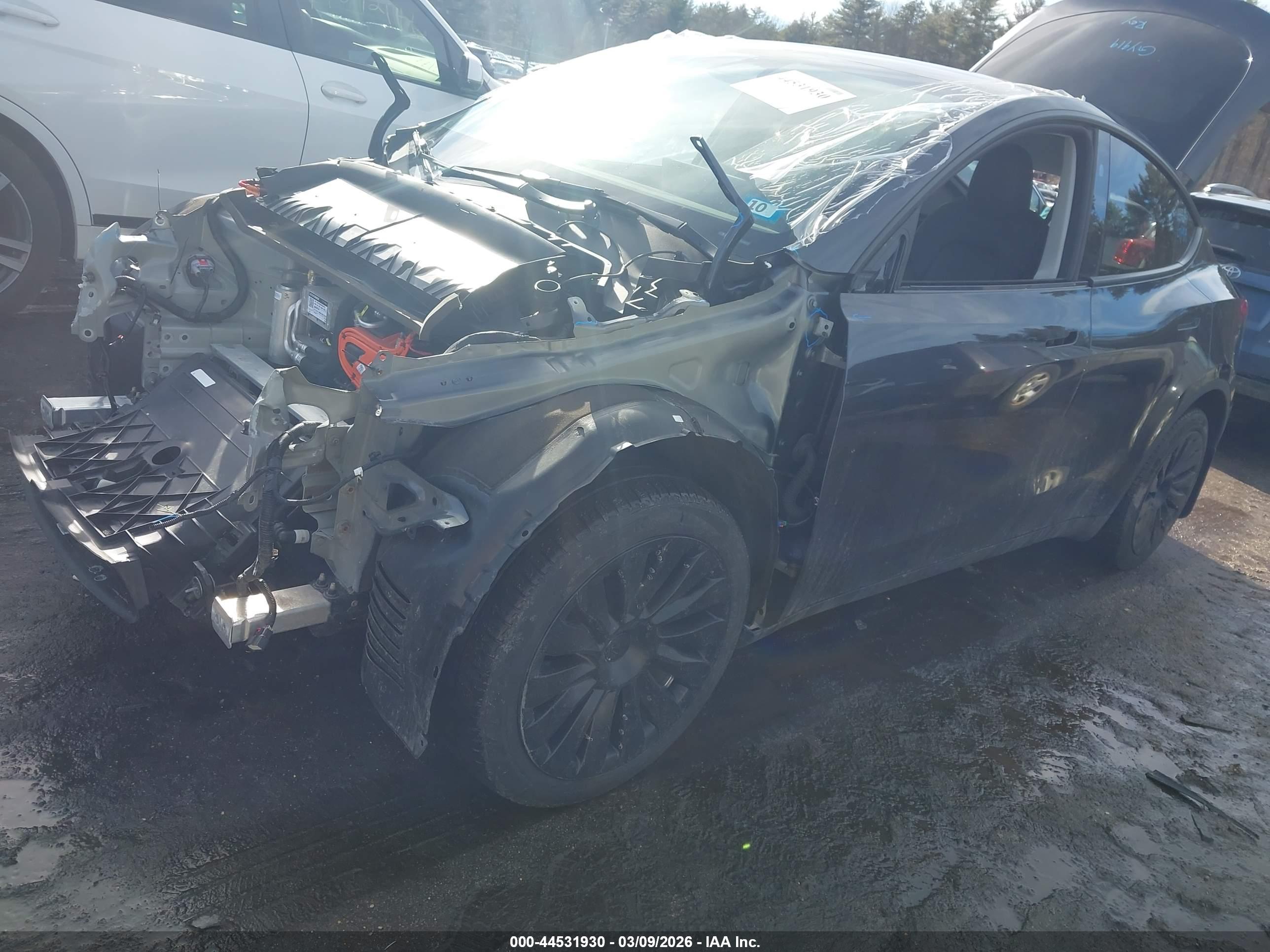 TESLA MODEL image 2