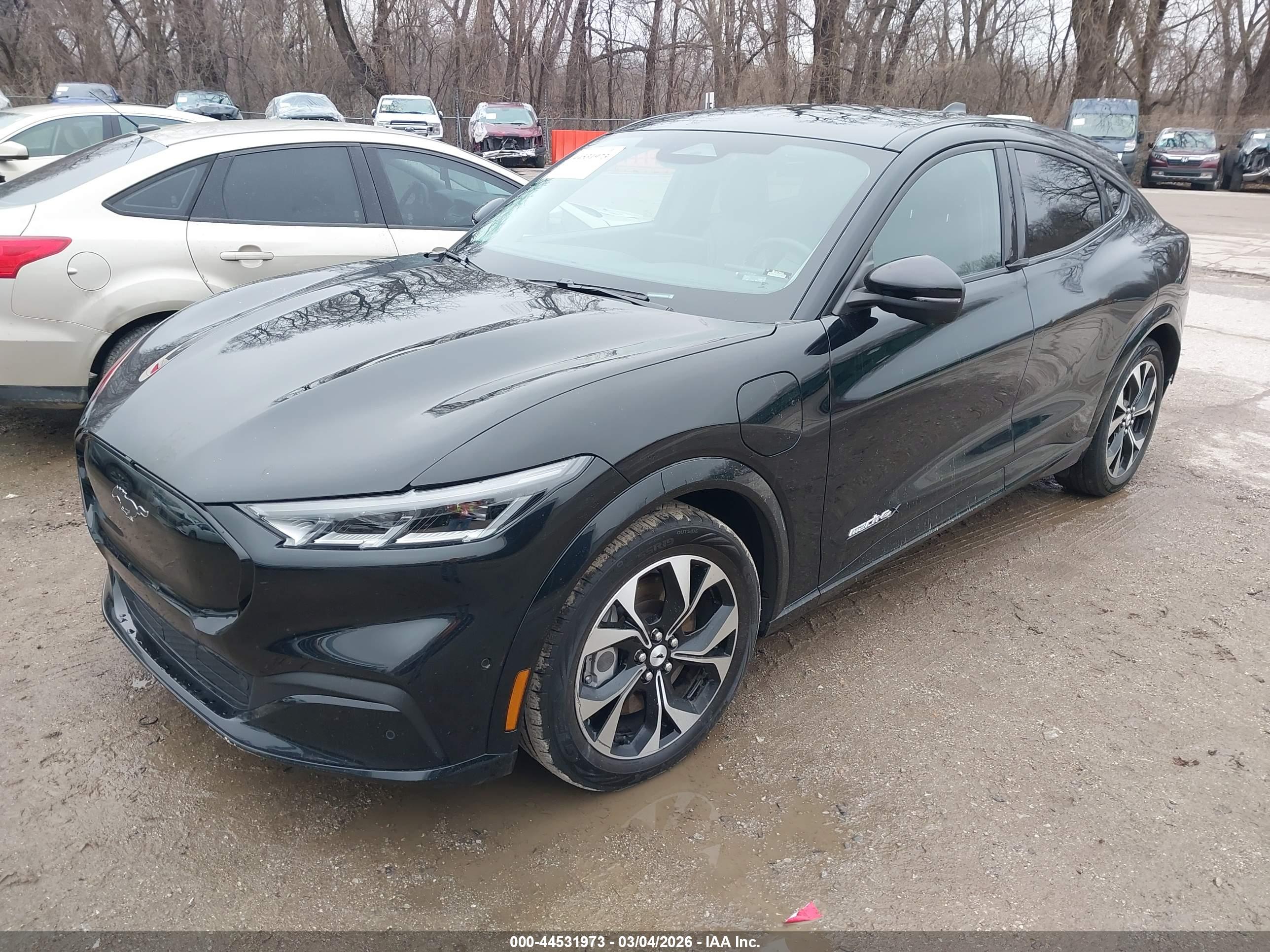 FORD MUSTANG image 2