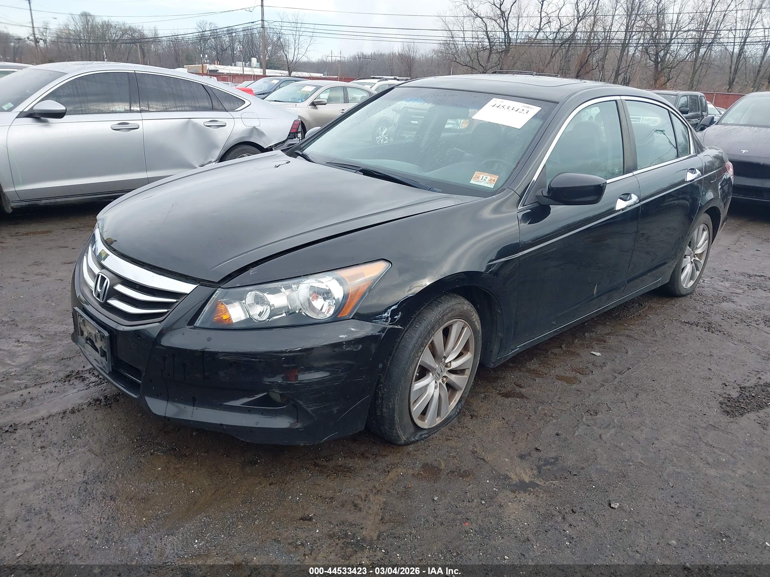 HONDA ACCORD image 2