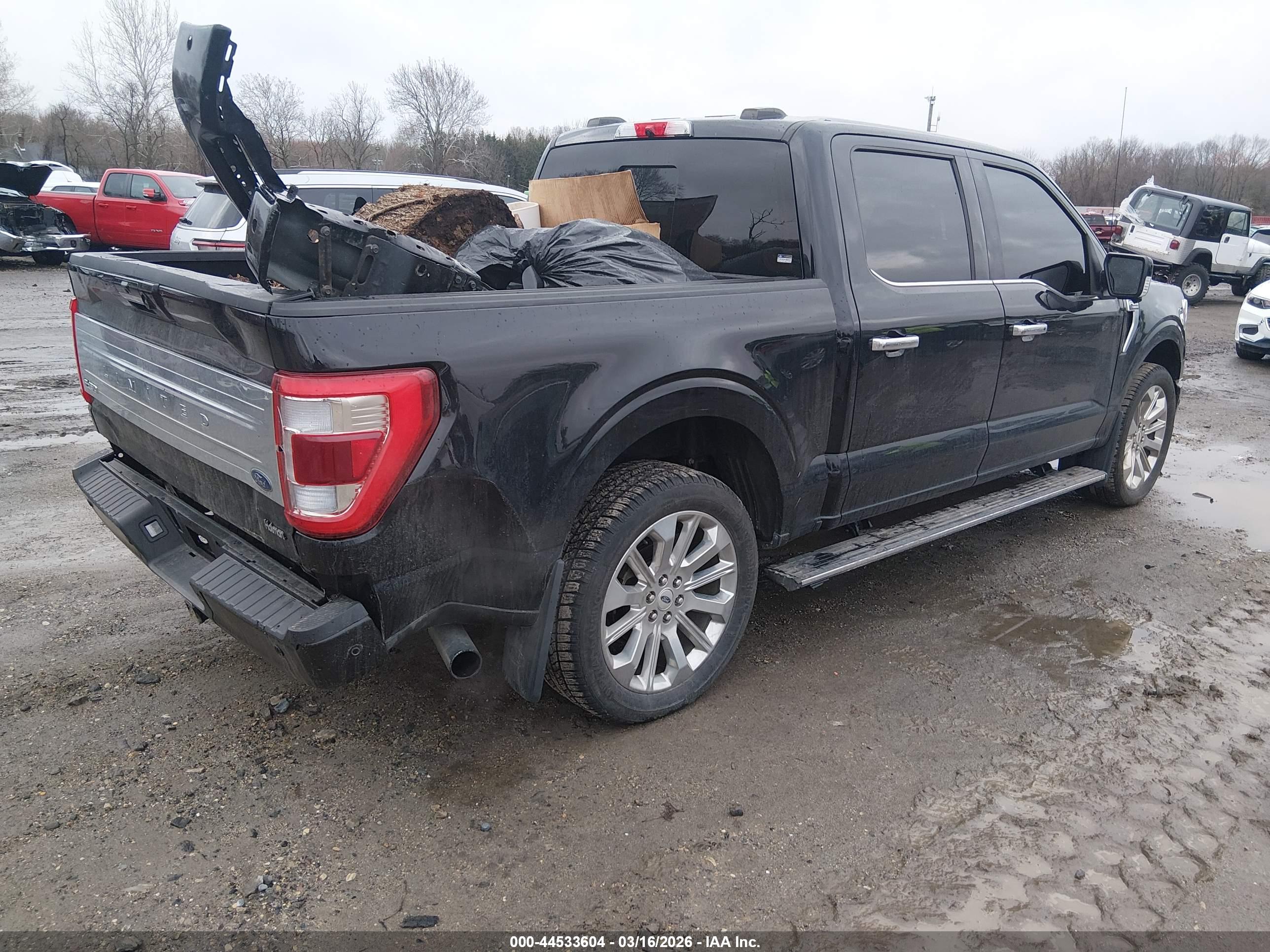 FORD F-150 image 4
